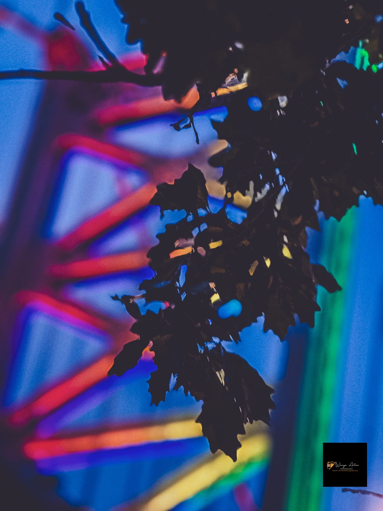 A Beacon of Pride: The Benjamin Franklin Bridge Illuminated in Rainbow Glory