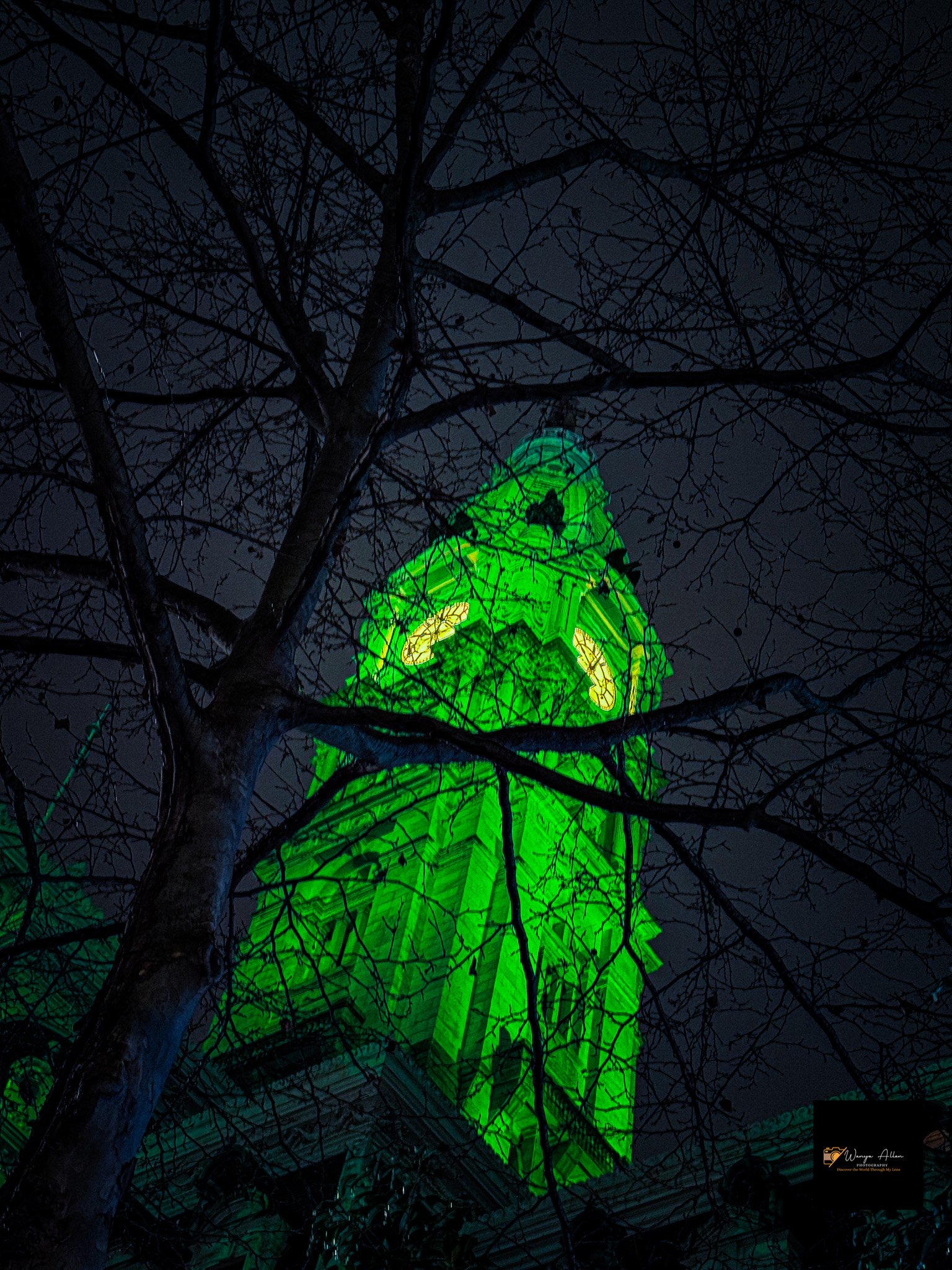 Light the City in Green: Celebrating the Eagles' Bright Win and Super Bowl Triumph