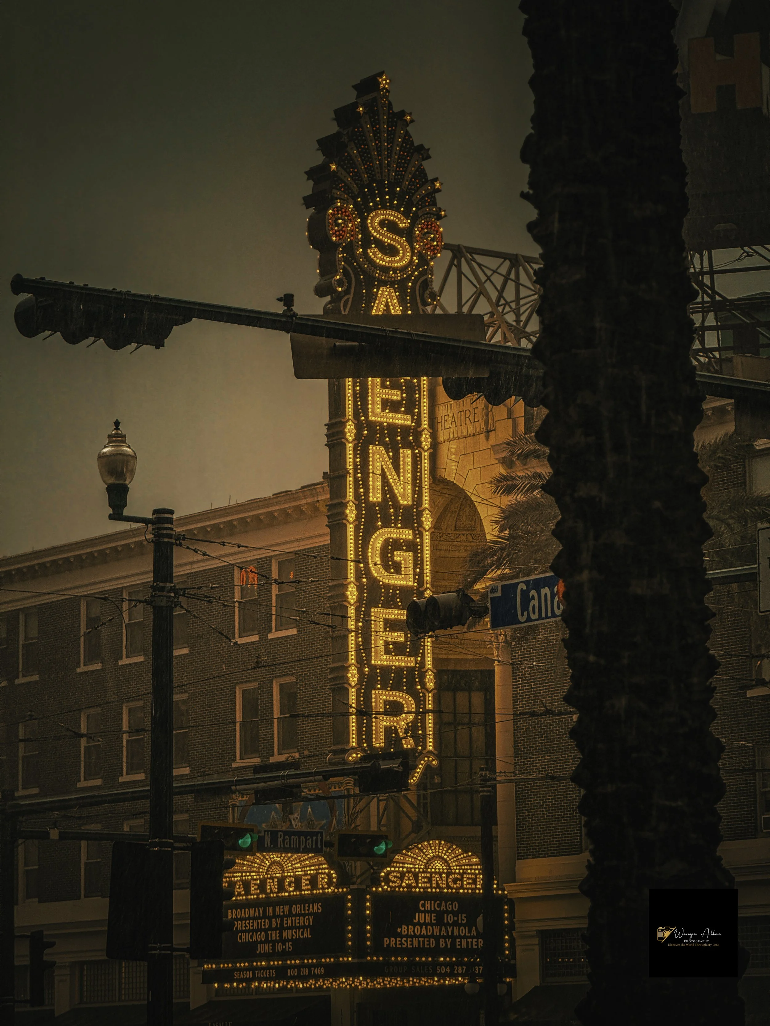 Rooted and Rising: New Orleans Through Our Eyes