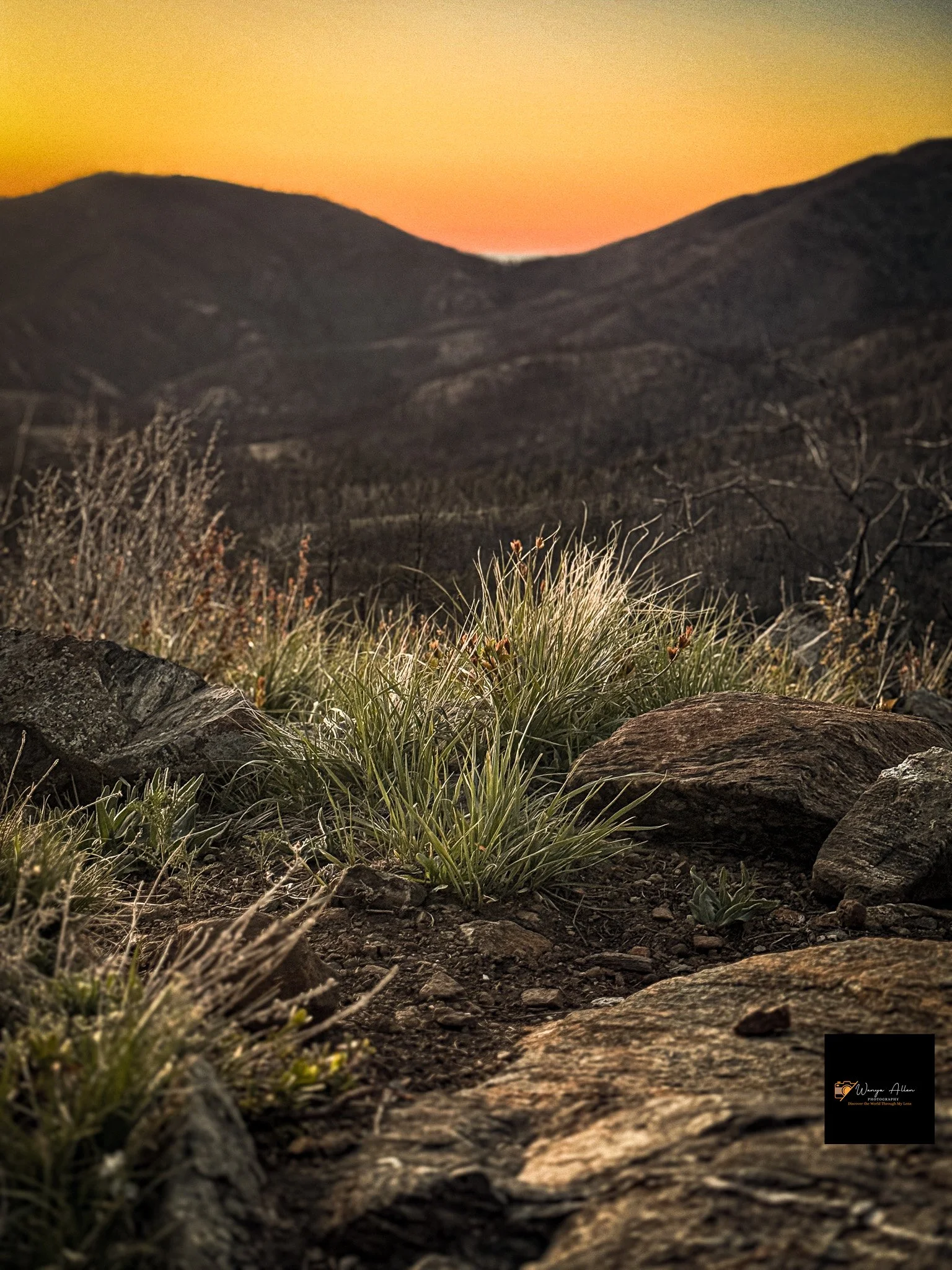 Jamestown, Colorado — A Snapshot of Nature’s Serenity