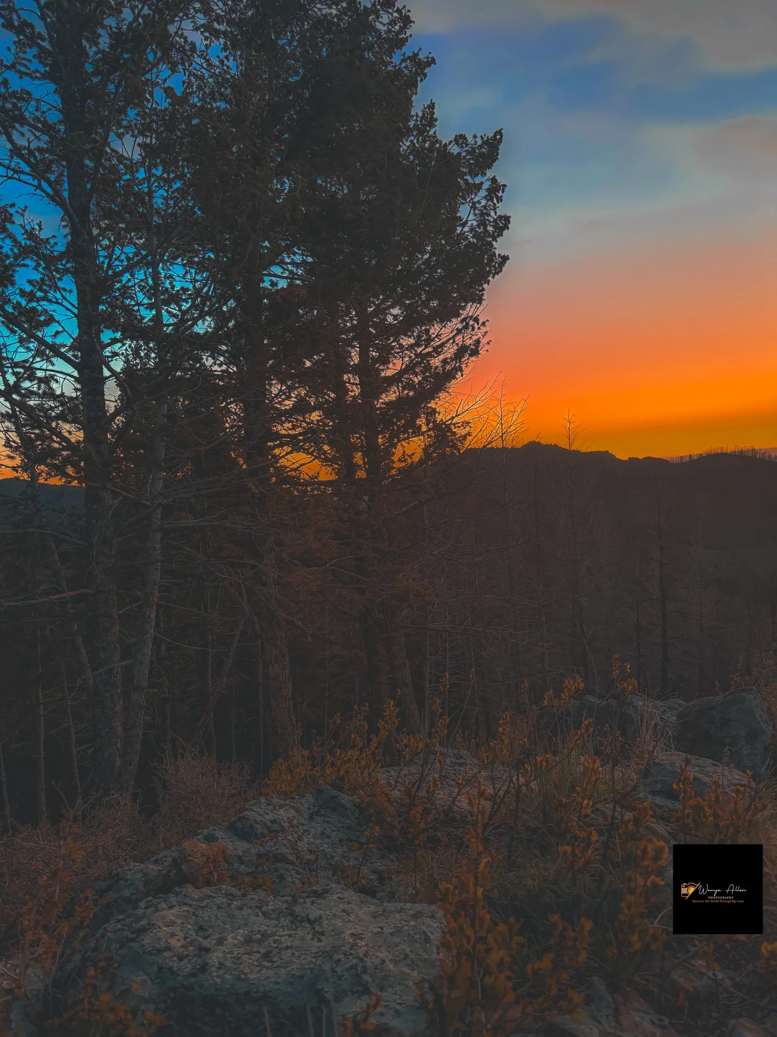 Jamestown, Colorado — A Snapshot of Nature’s Serenity