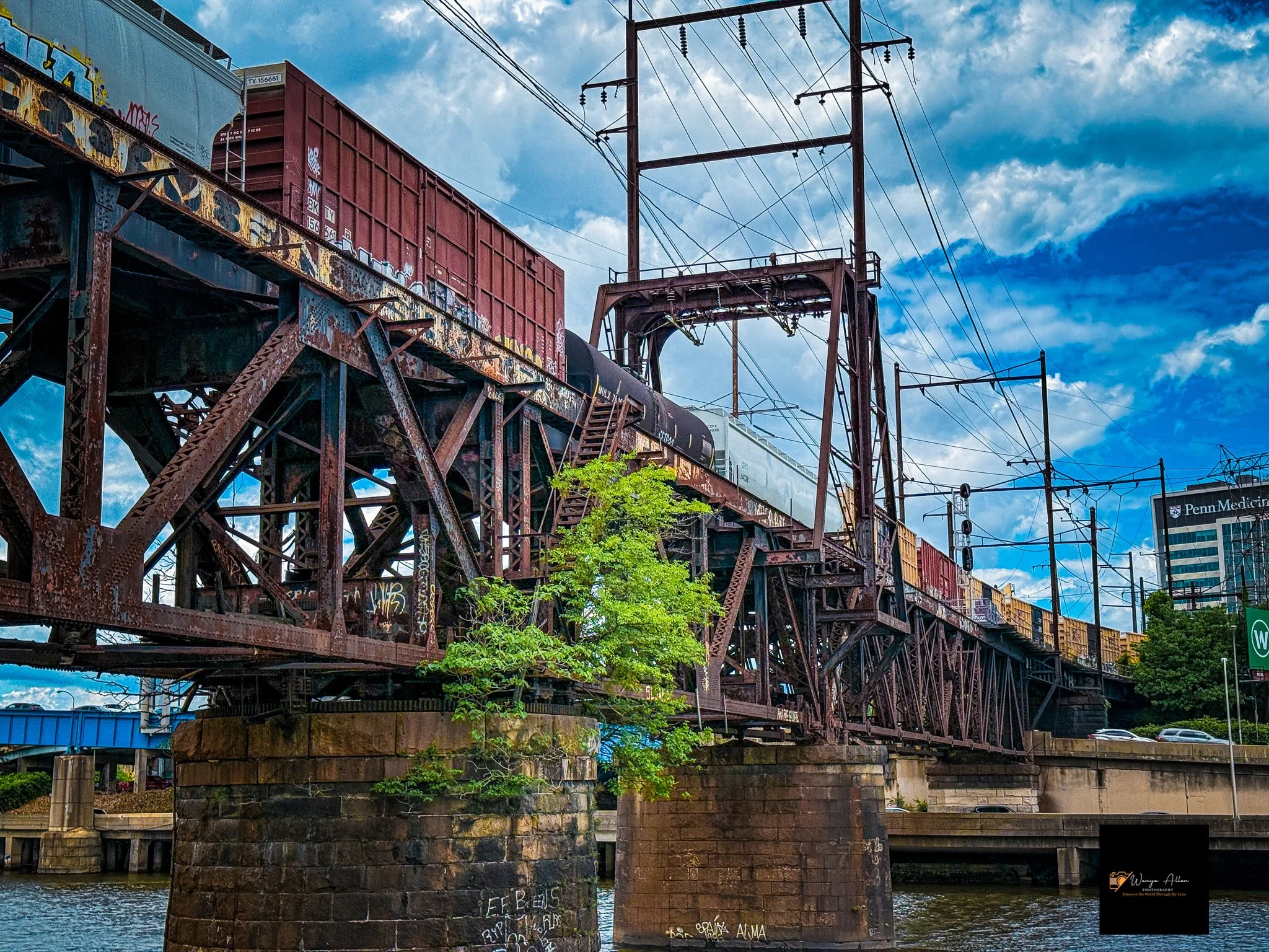 CSX Crossing the Bridge: A Moment on the Rails