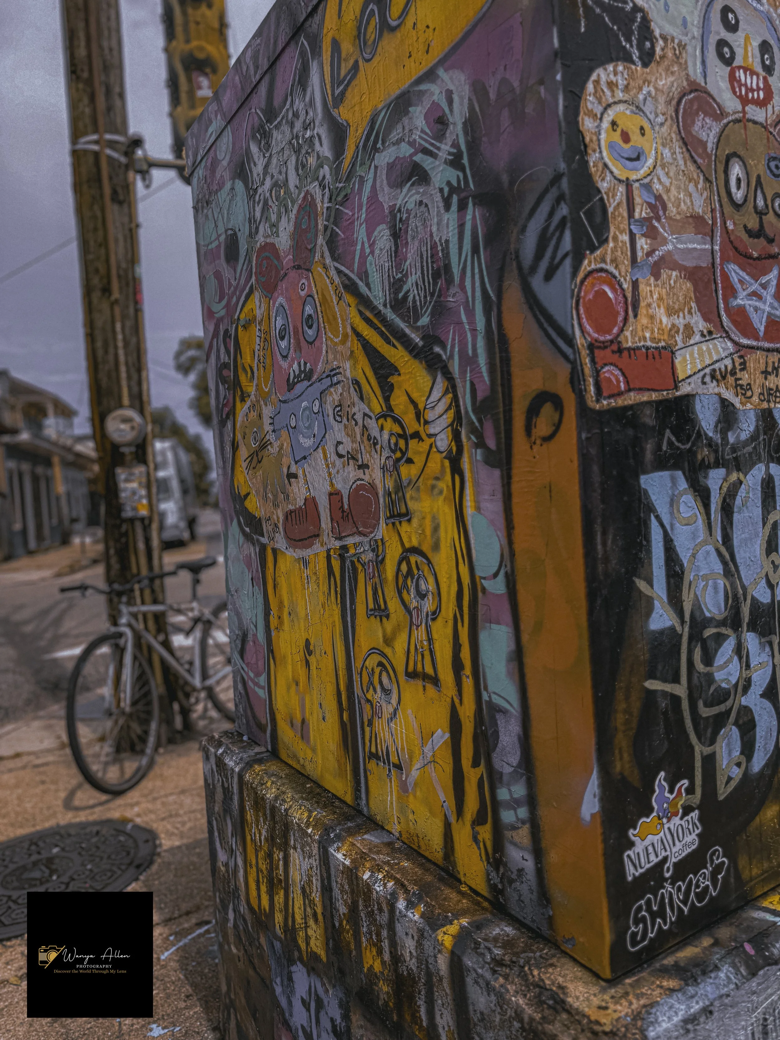 Rooted and Rising: New Orleans Through Our Eyes