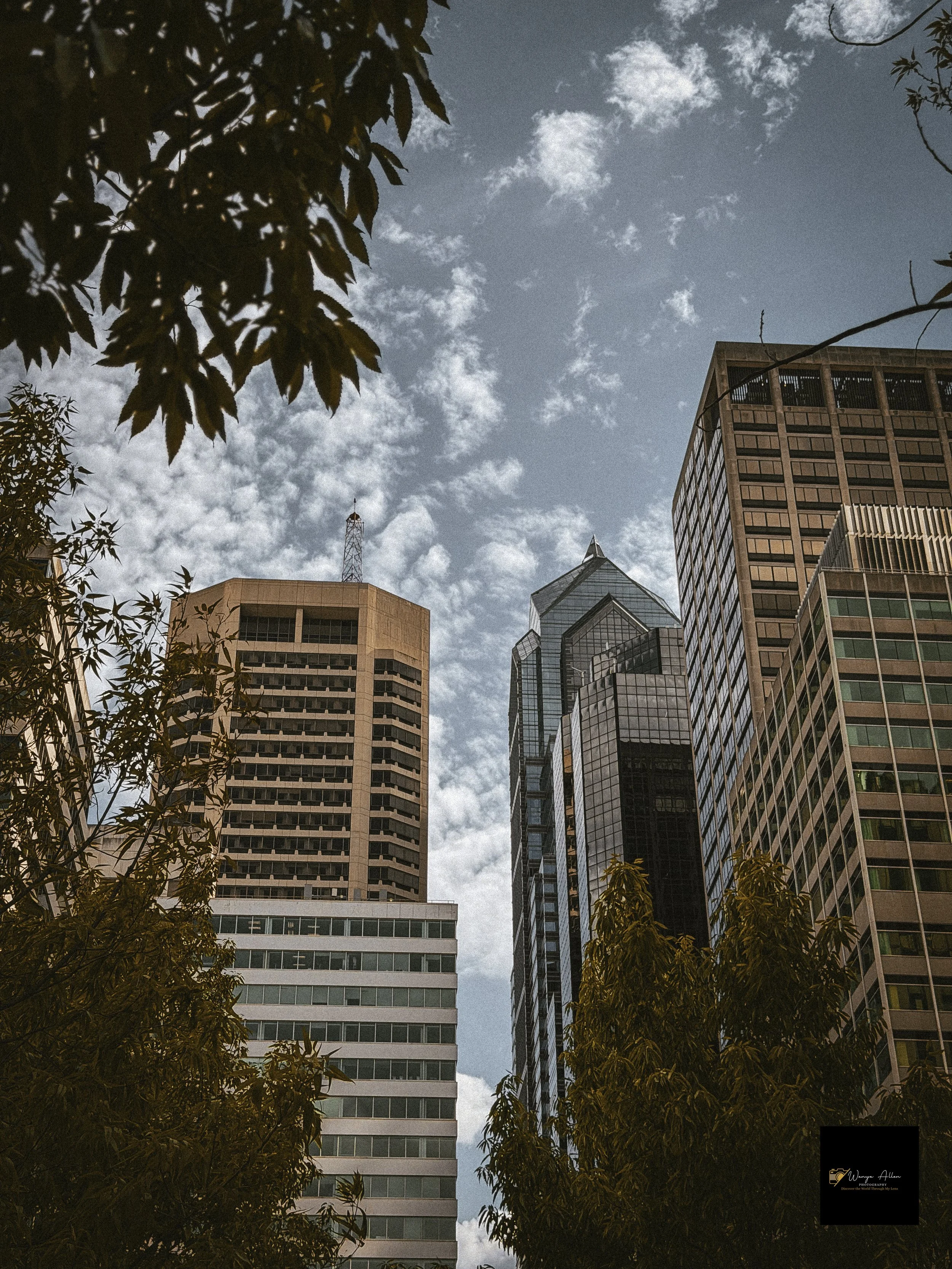 Buildings and Petals: Flowers and Skyscrapers Adventure