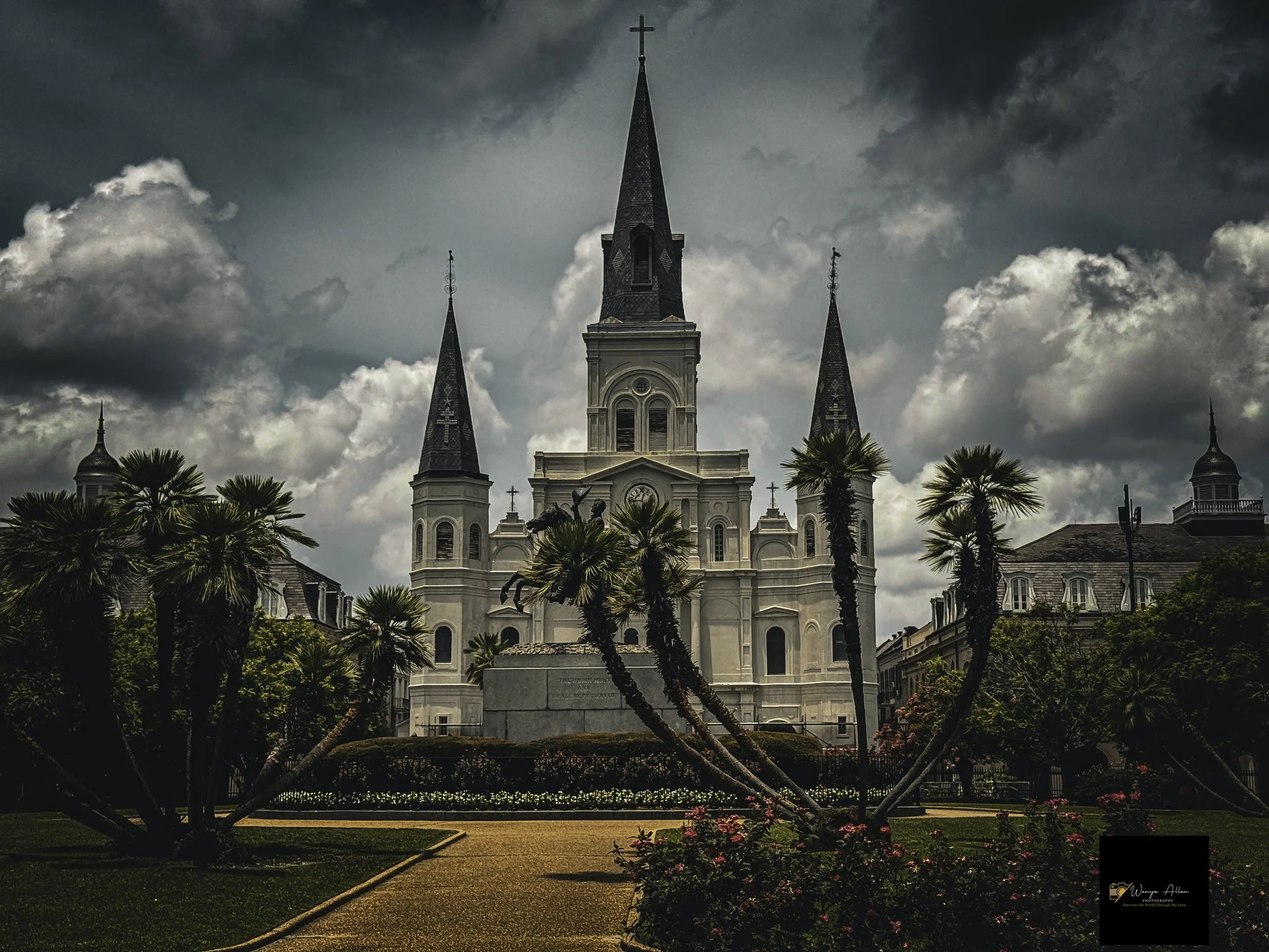 Rooted and Rising: New Orleans Through Our Eyes