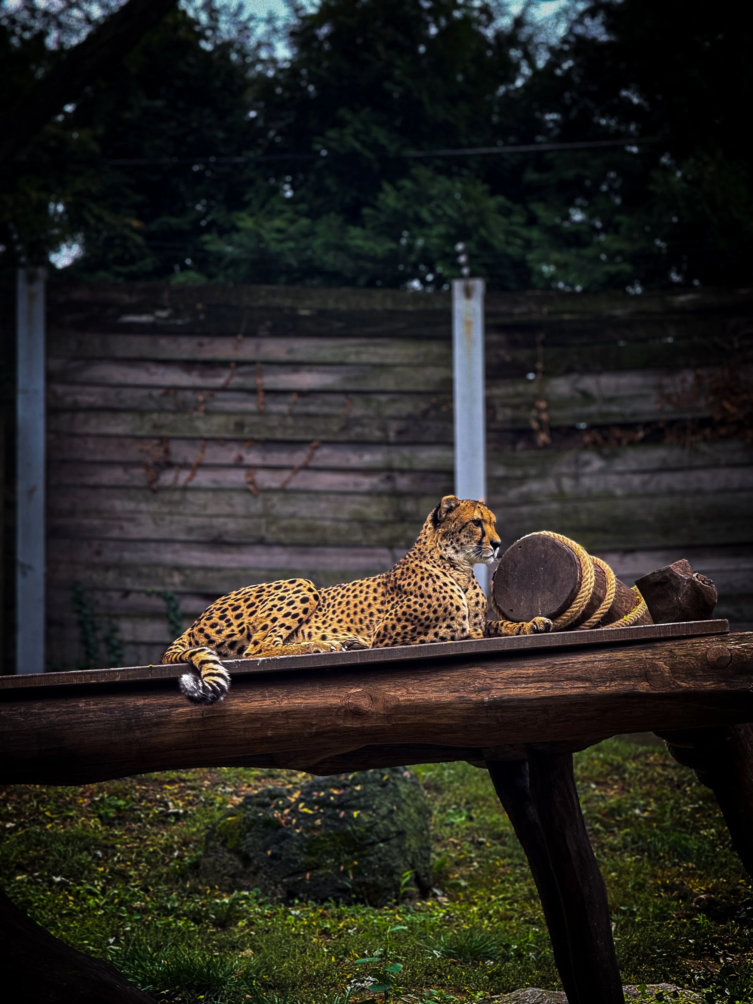A Wild Day: Adventures at the Philadelphia Zoo