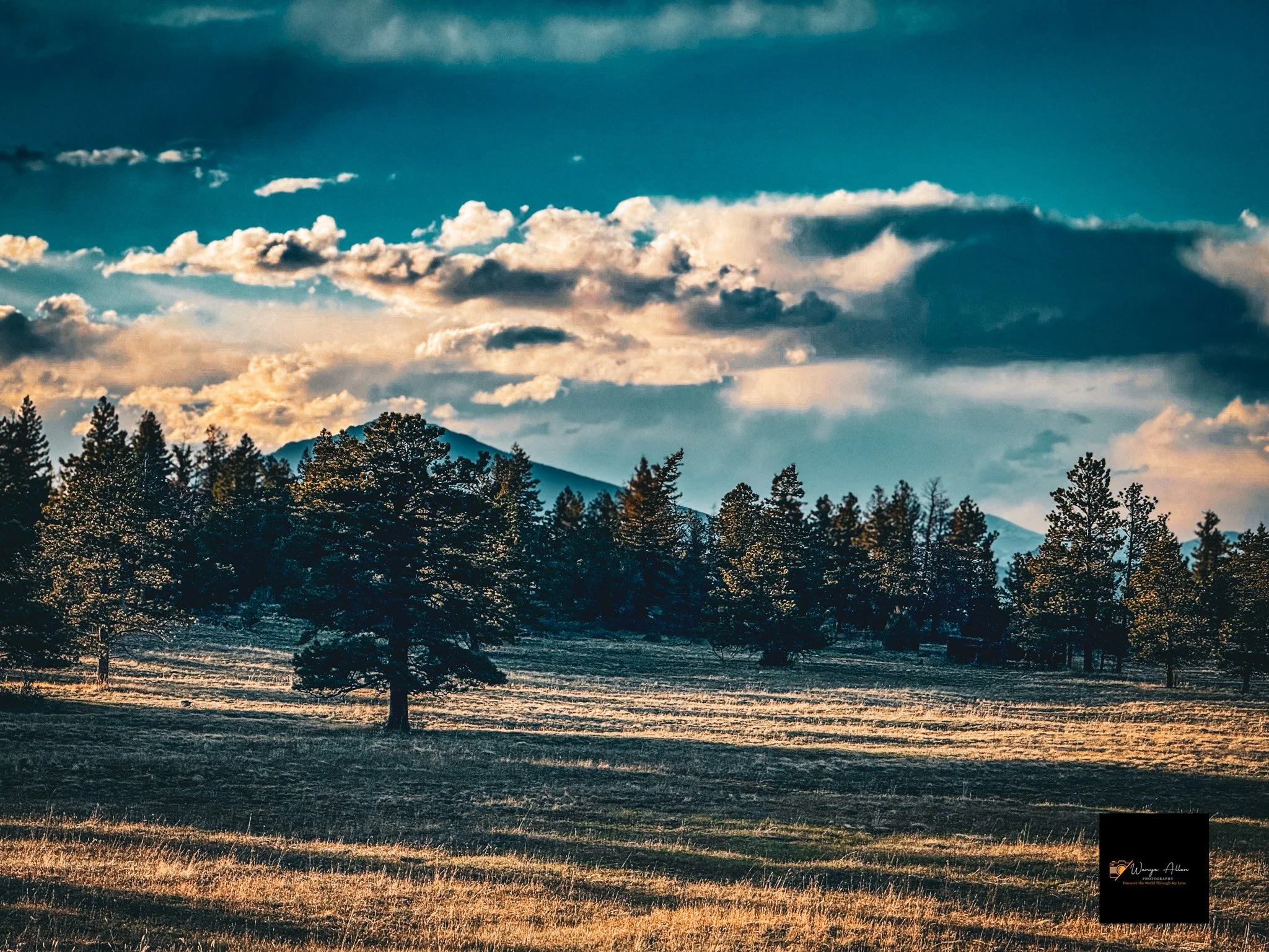 Jamestown, Colorado — A Snapshot of Nature’s Serenity: Part 2