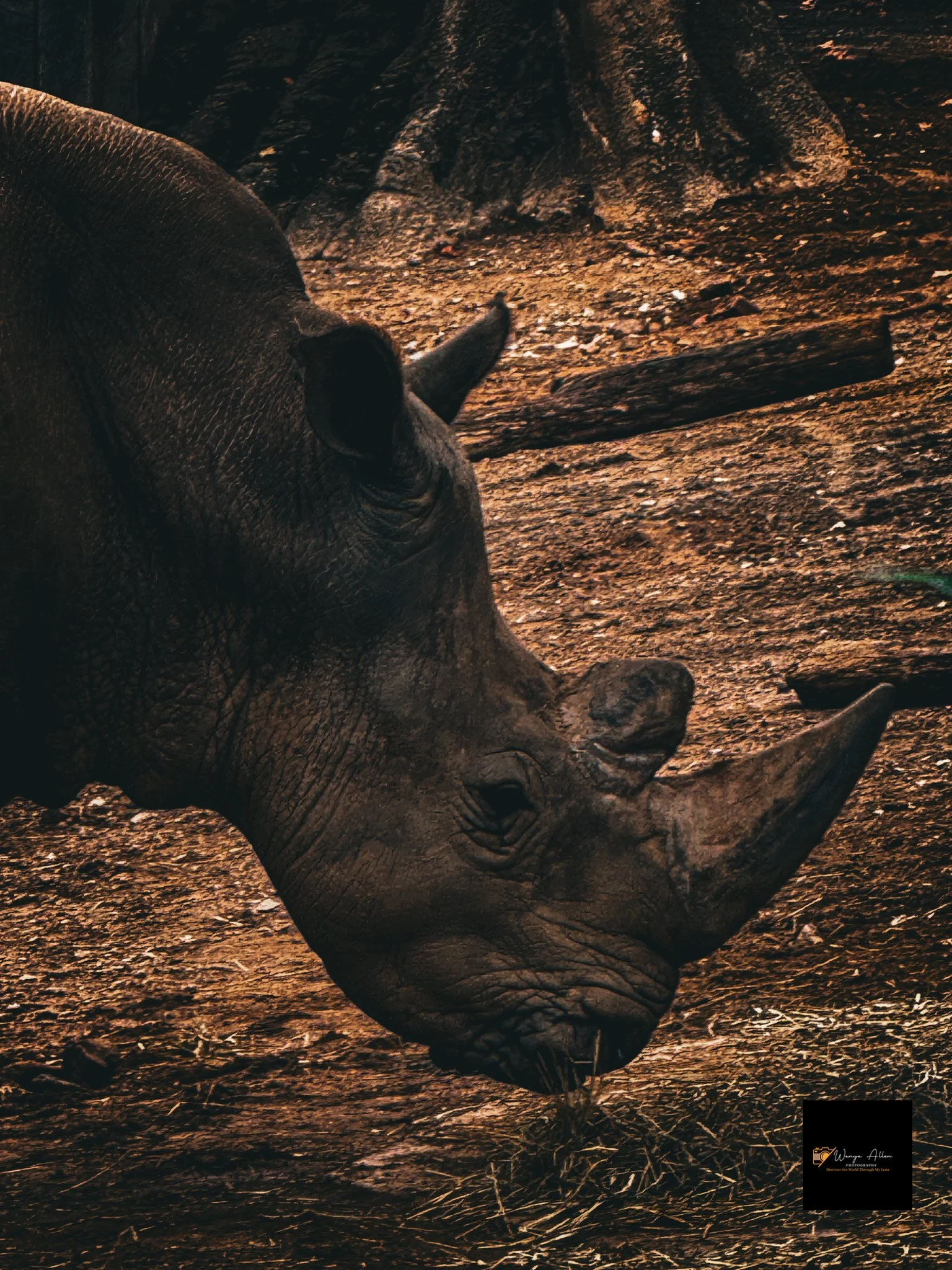 A Wild Day: Adventures at the Philadelphia Zoo