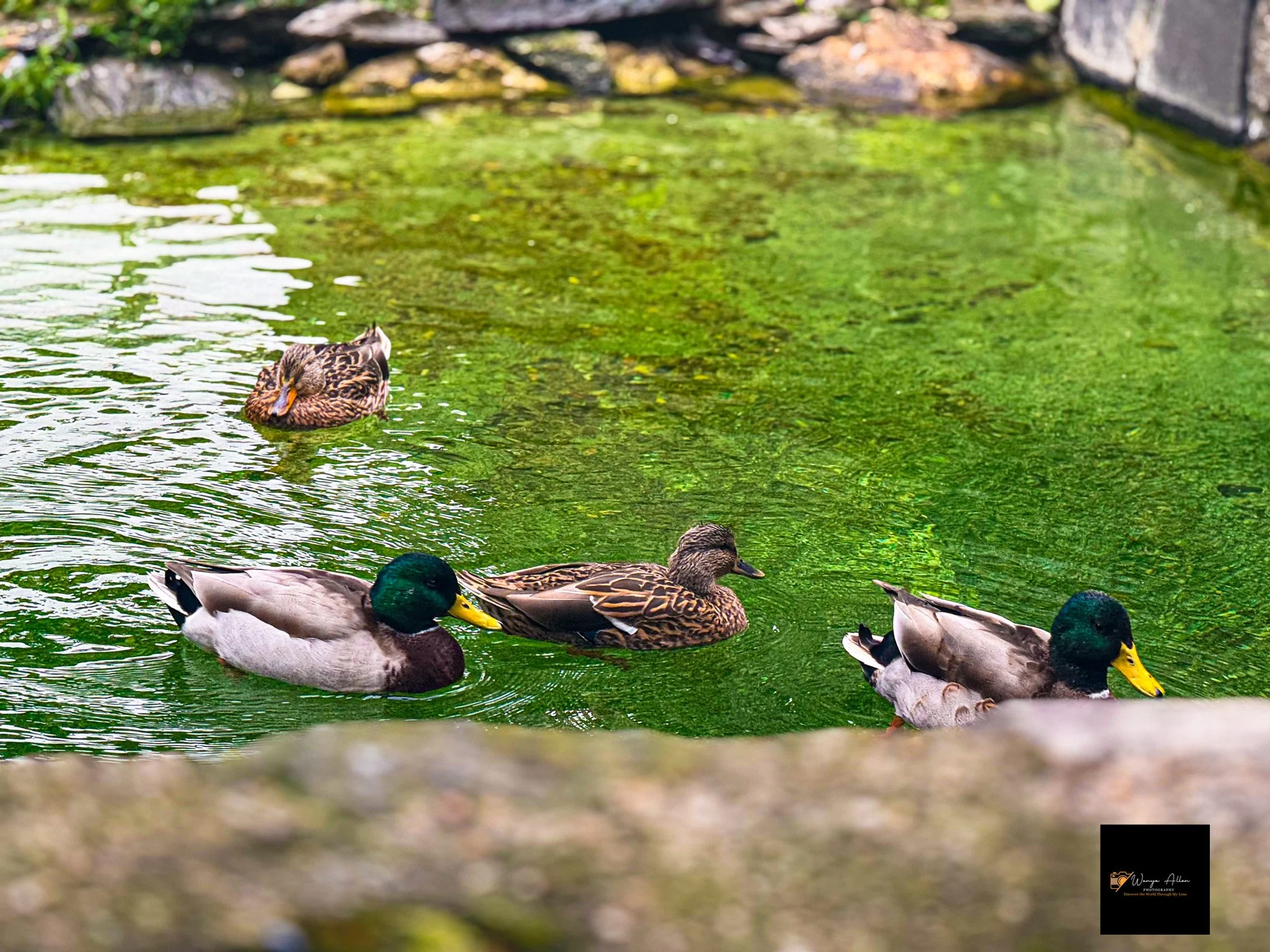 A Wild Day: Adventures at the Philadelphia Zoo