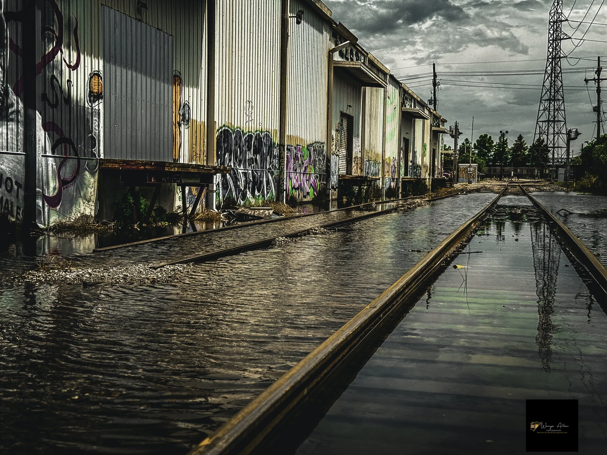 Rooted and Rising: New Orleans Through Our Eyes