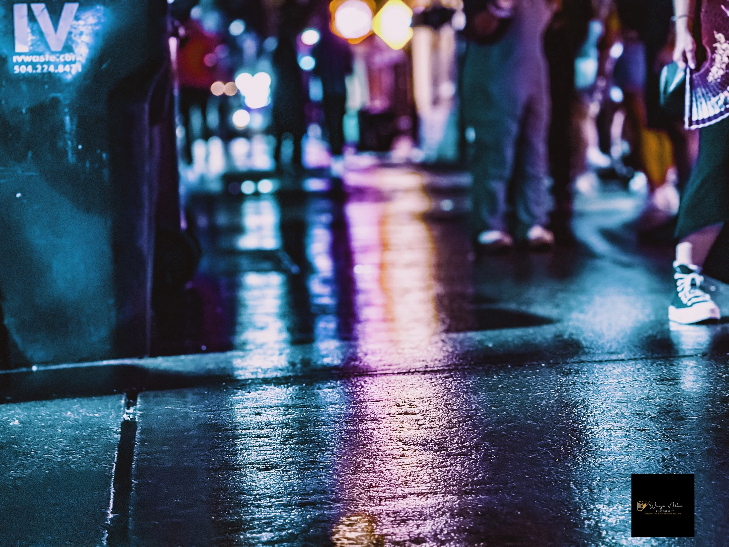 Rooted and Rising: New Orleans Through Our Eyes