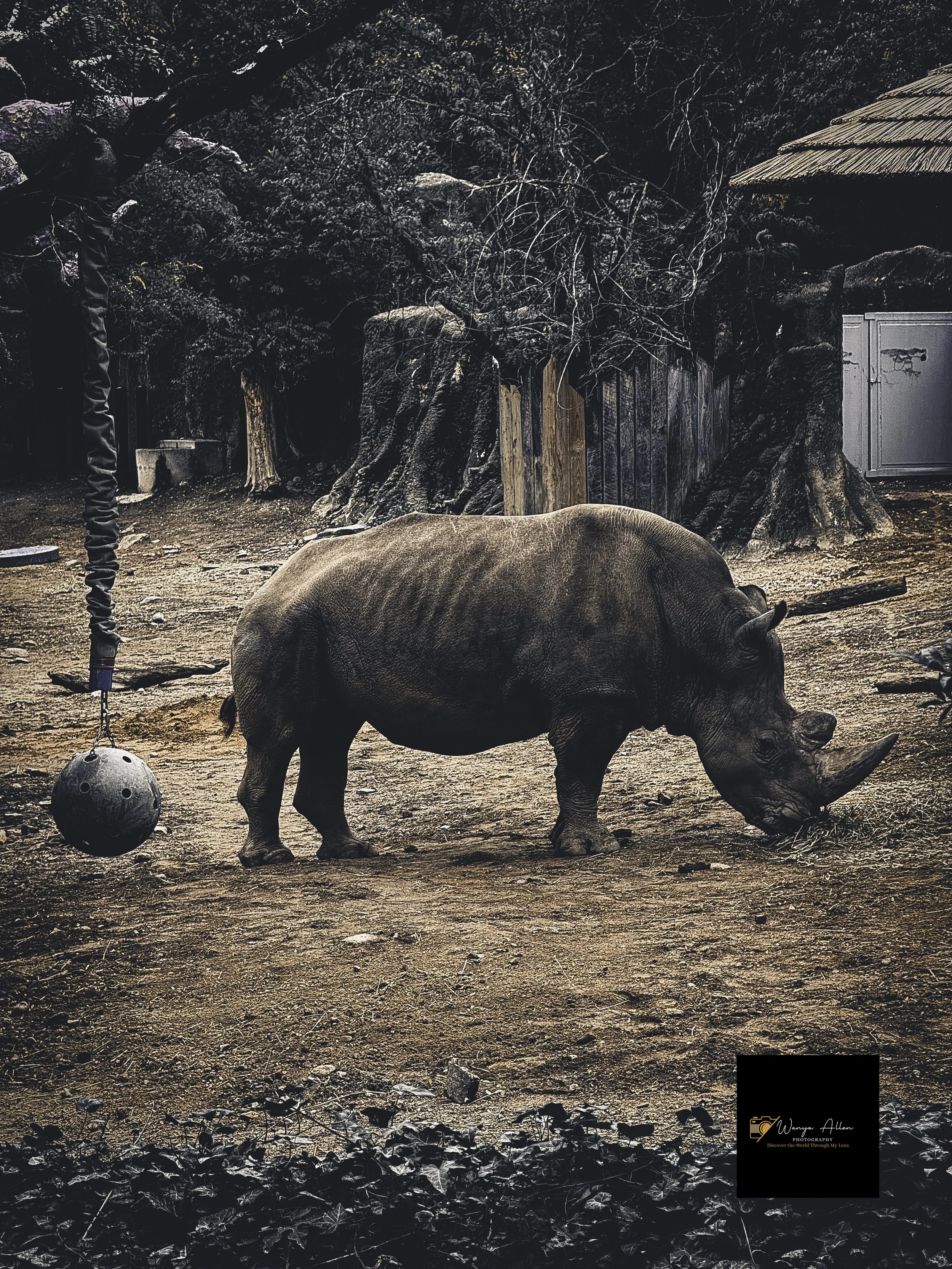 A Wild Day: Adventures at the Philadelphia Zoo