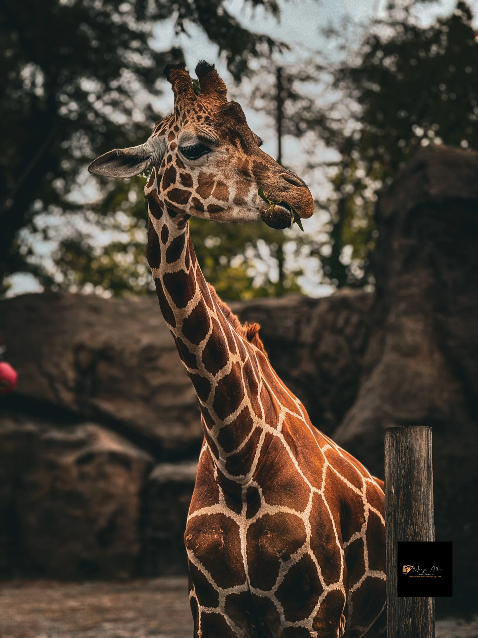 A Wild Day: Adventures at the Philadelphia Zoo