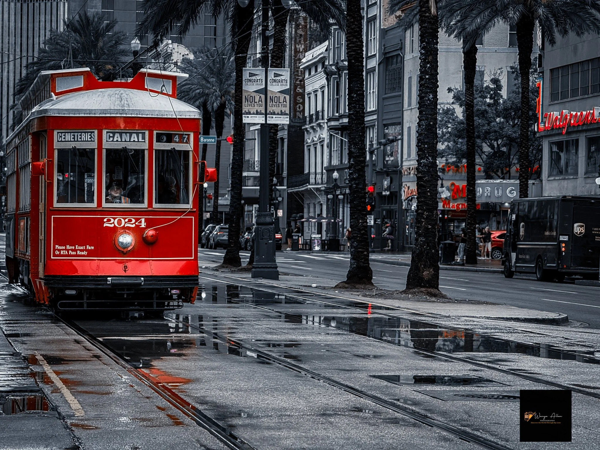 Trolleys of Canal Street: A Stroll Through New Orleans History