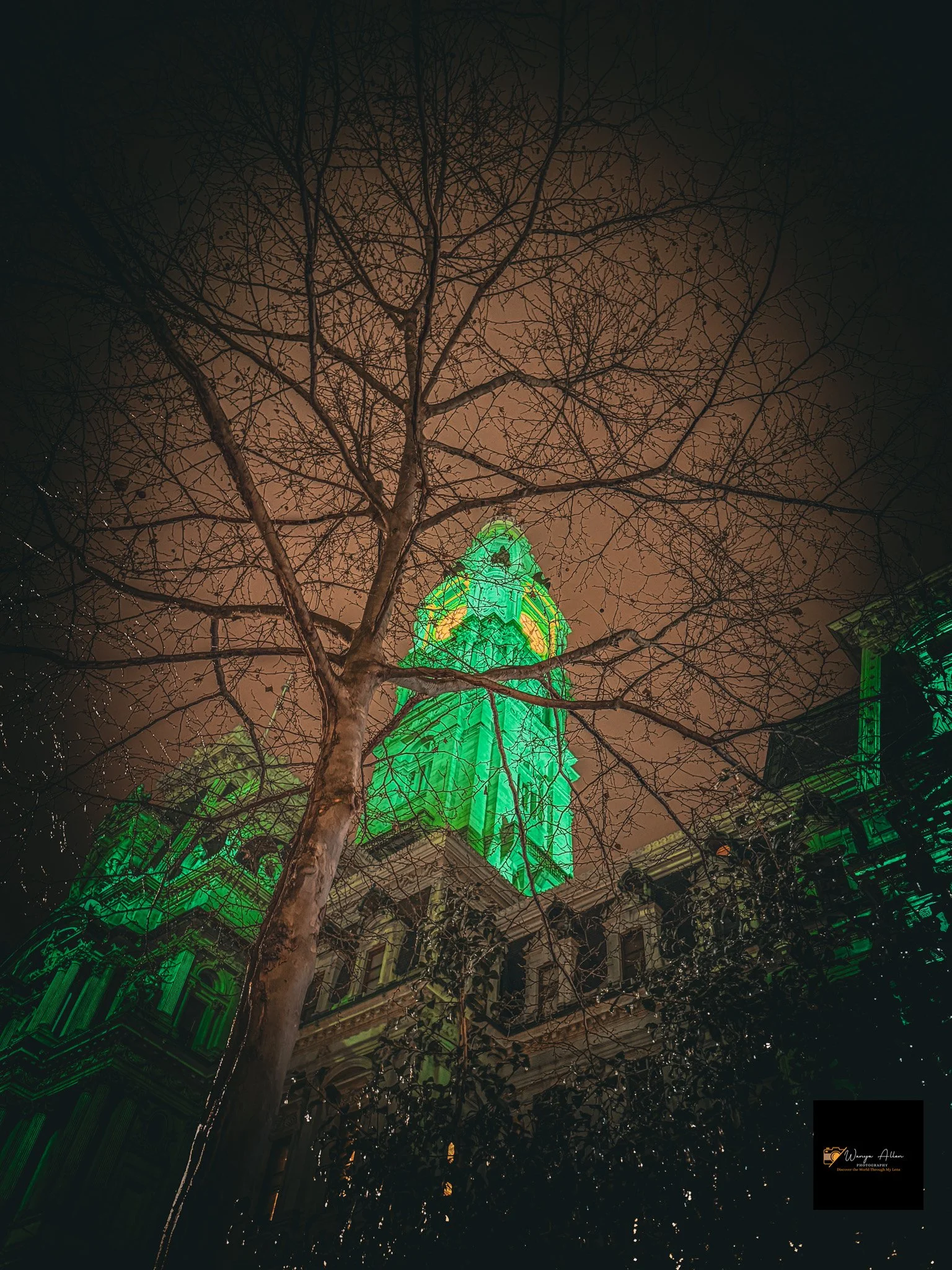 Light the City in Green: Celebrating the Eagles' Bright Win and Super Bowl Triumph