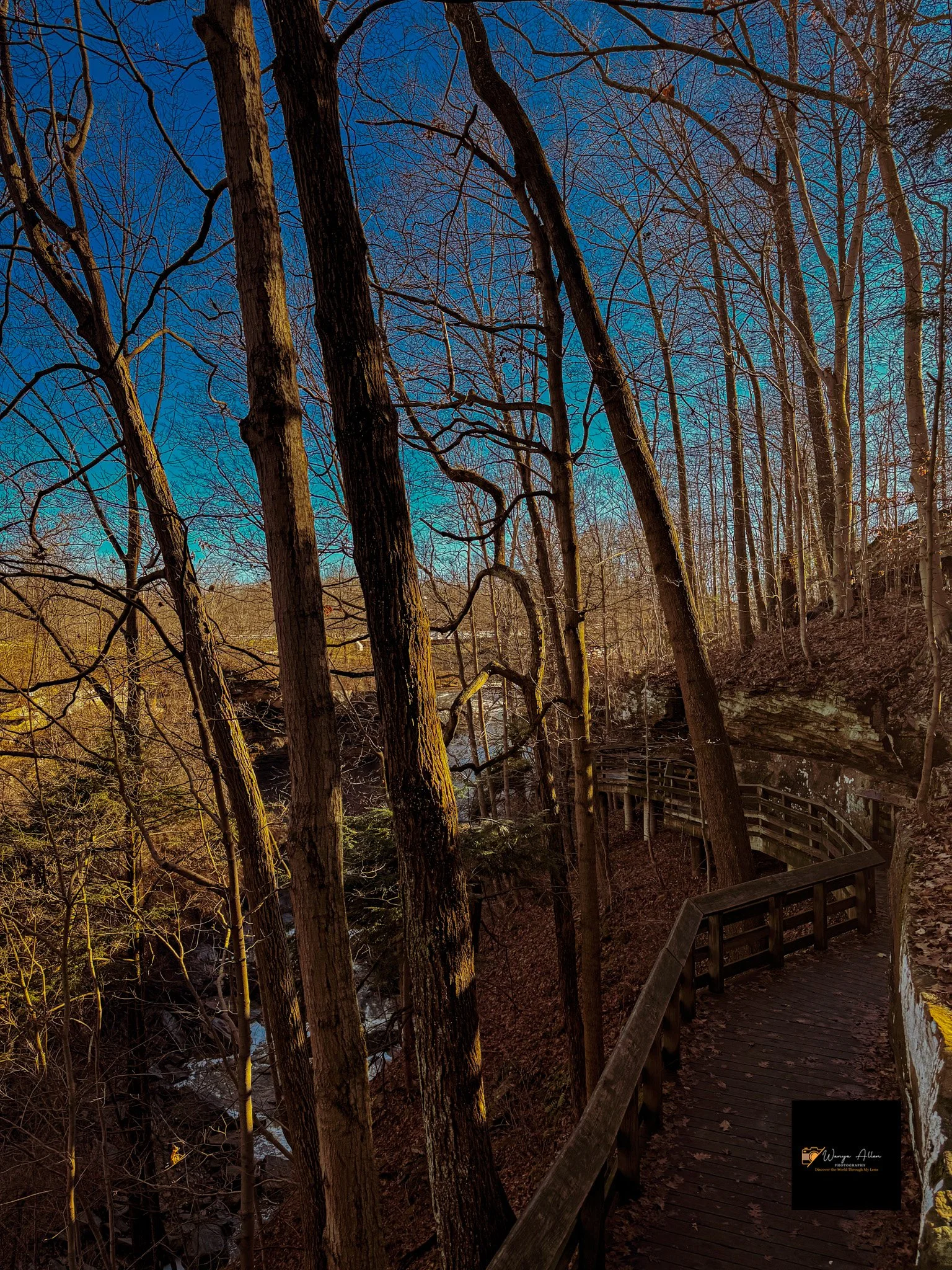 Whispers of Water: The Brandywine Cascades