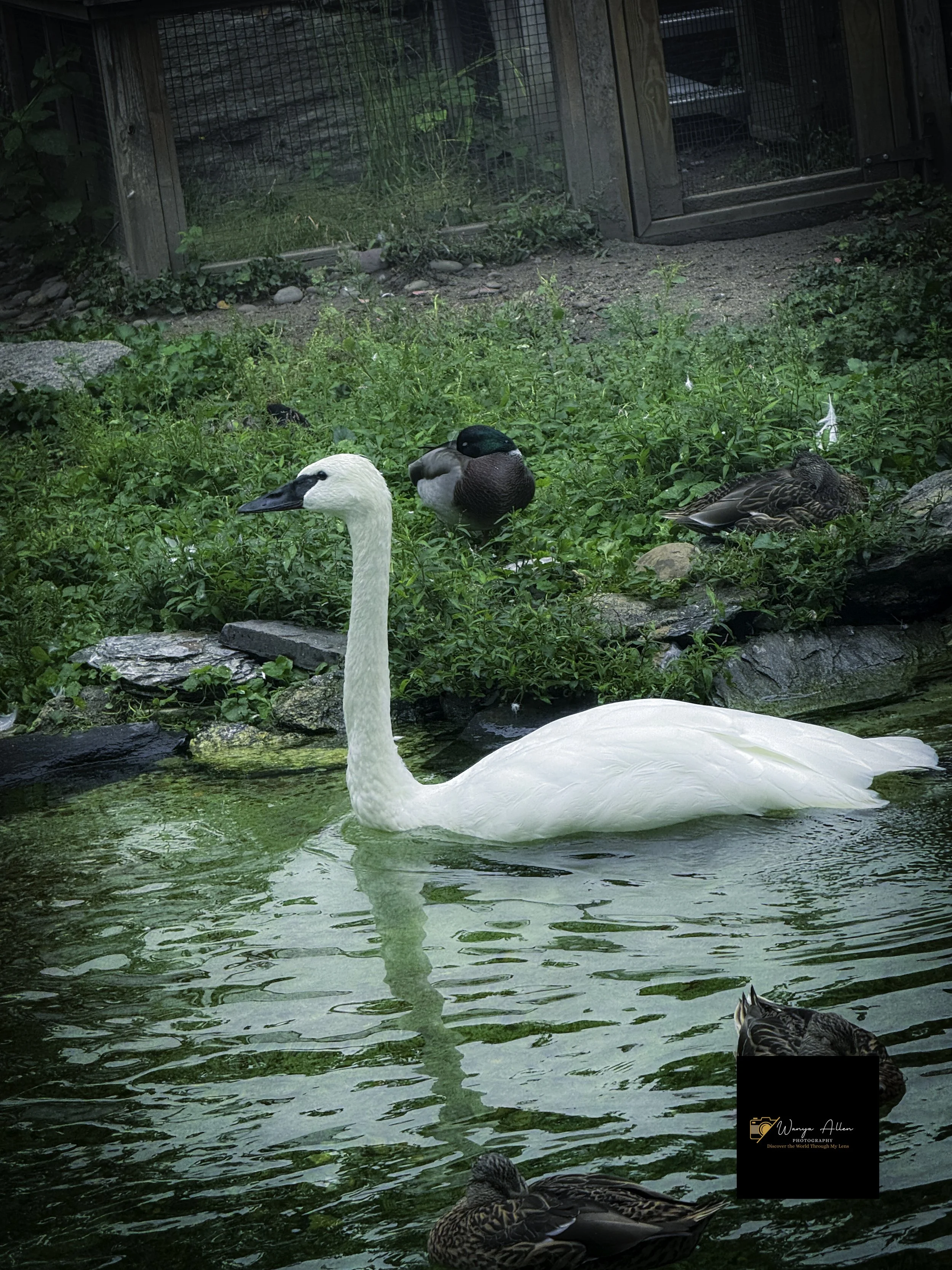 A Wild Day: Adventures at the Philadelphia Zoo
