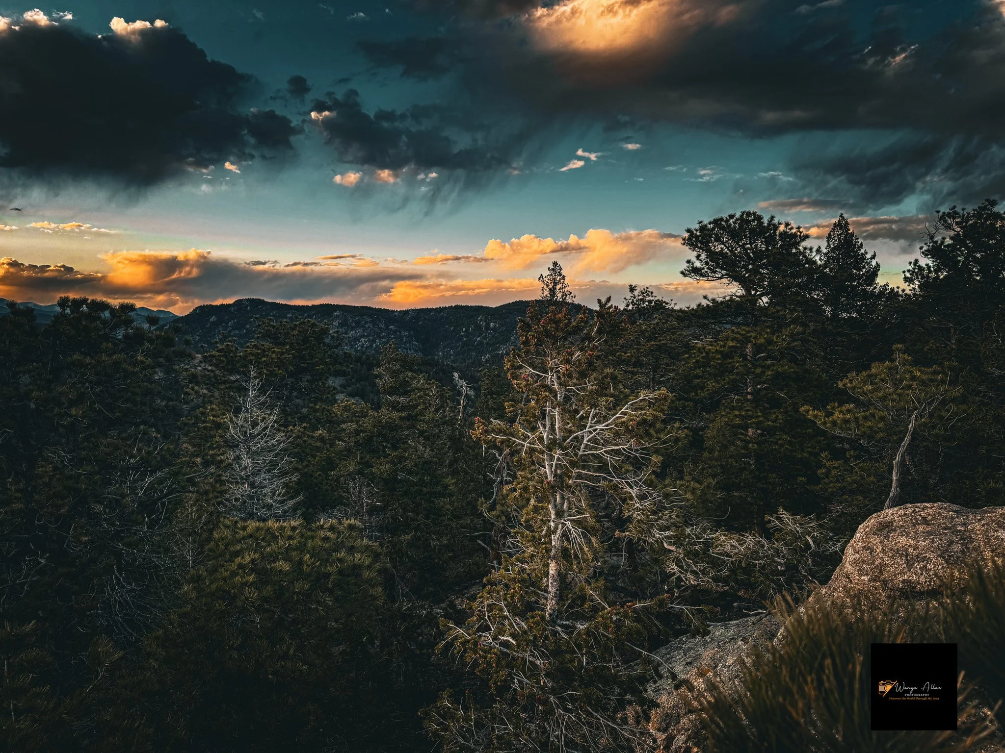 Jamestown, Colorado — A Snapshot of Nature’s Serenity