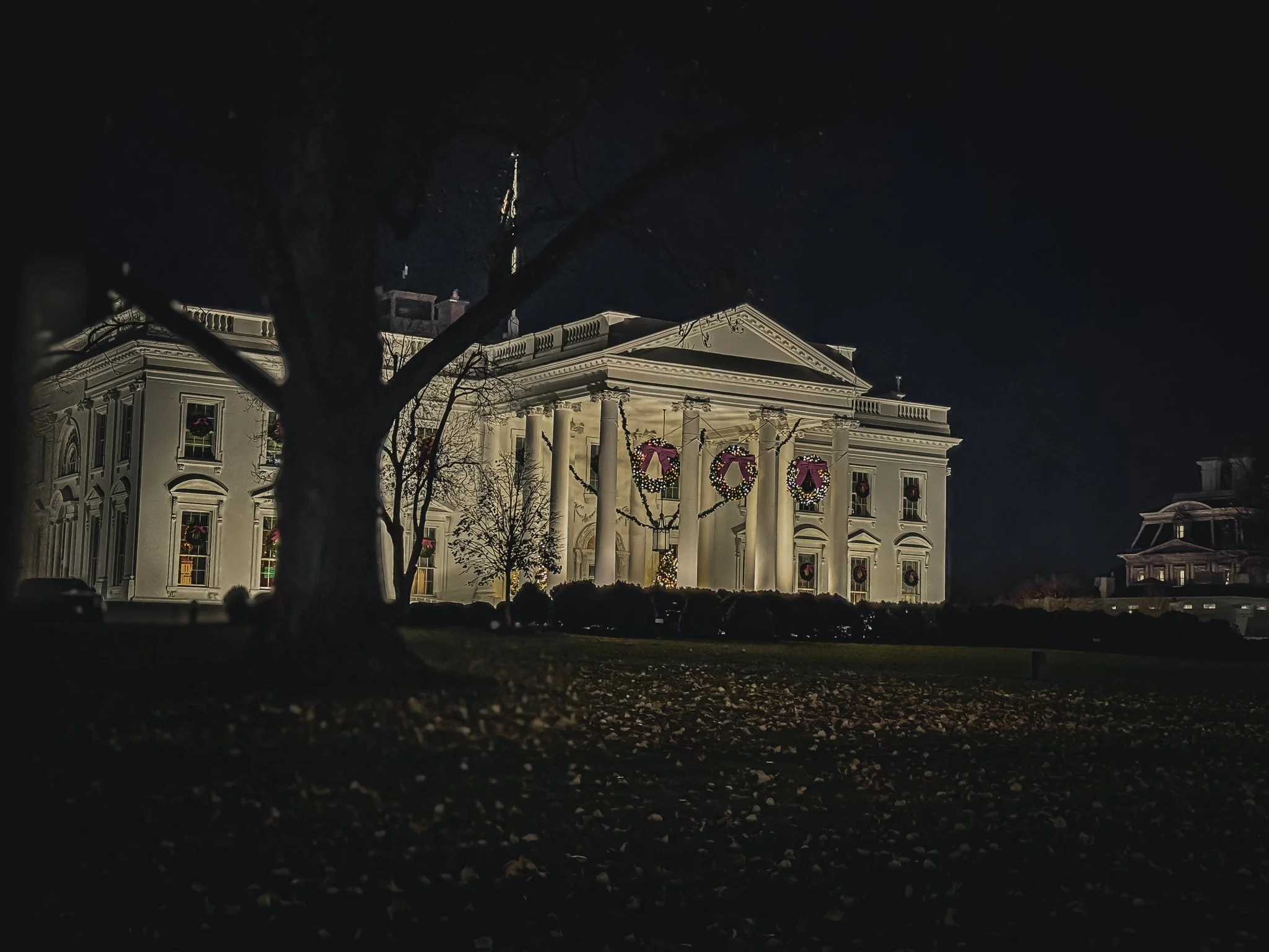 Seasons in the District: A Year Through My Lens