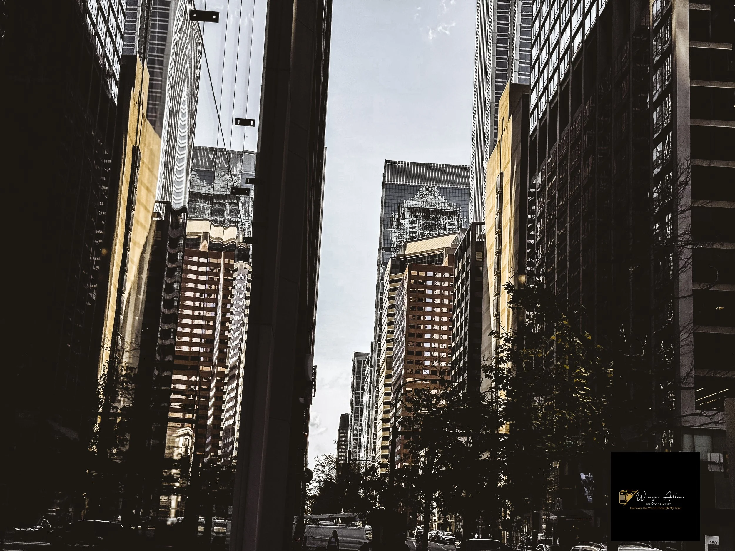 There’s No Place Like Home: City of Brotherly Love Through My Lens