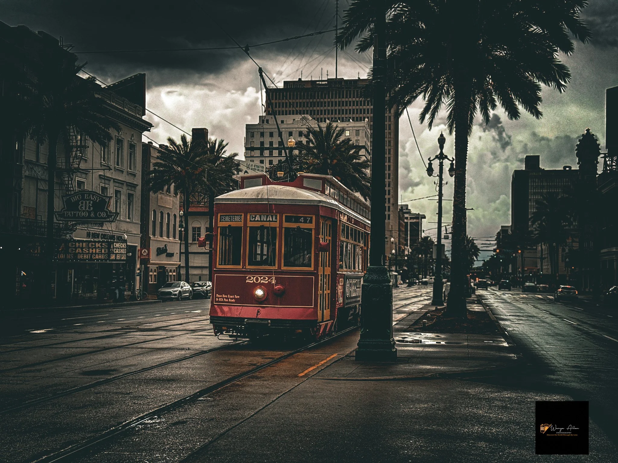 Trolleys of Canal Street: A Stroll Through New Orleans History