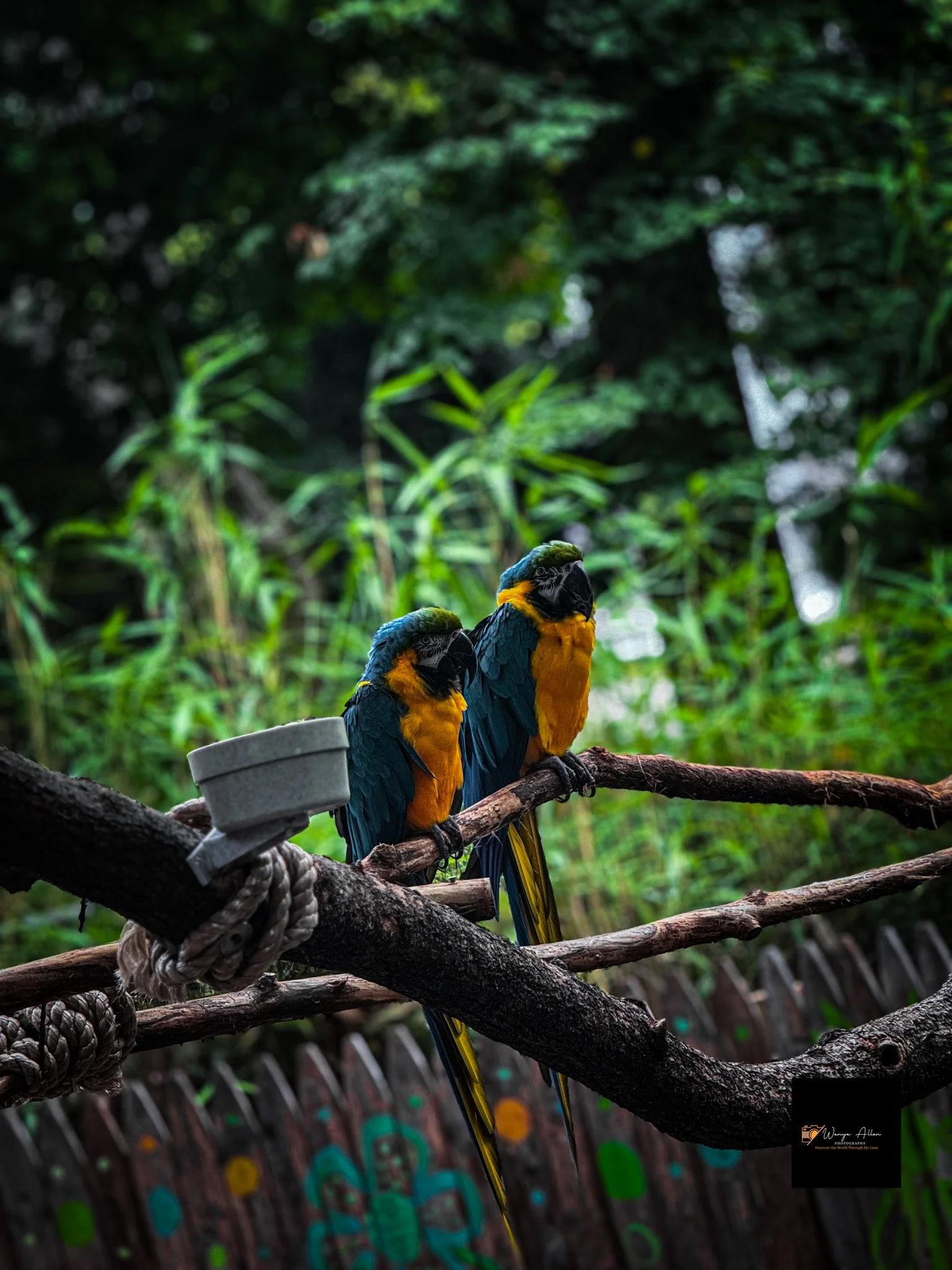 A Wild Day: Adventures at the Philadelphia Zoo