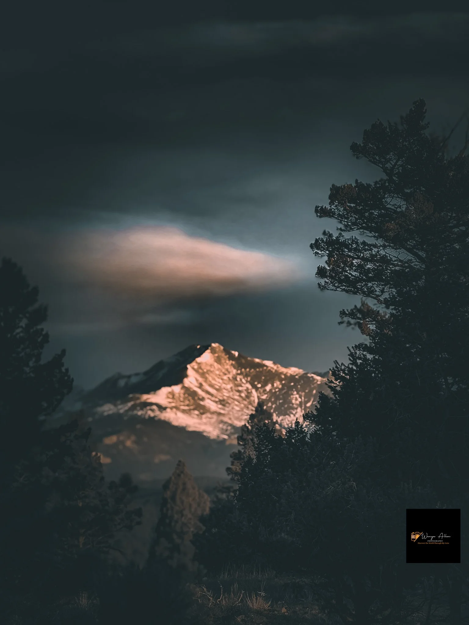 Jamestown, Colorado — A Snapshot of Nature’s Serenity