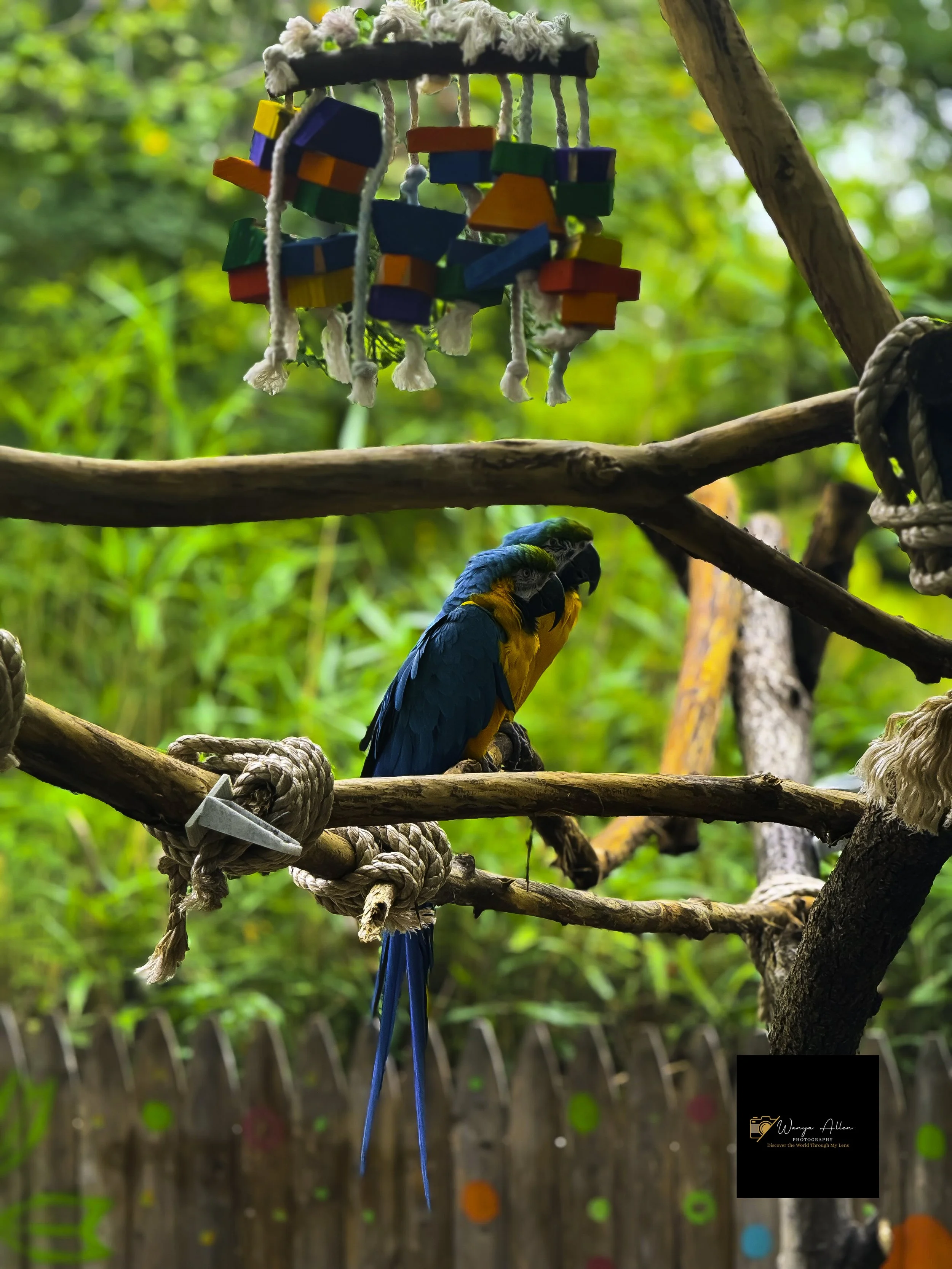 A Wild Day: Adventures at the Philadelphia Zoo