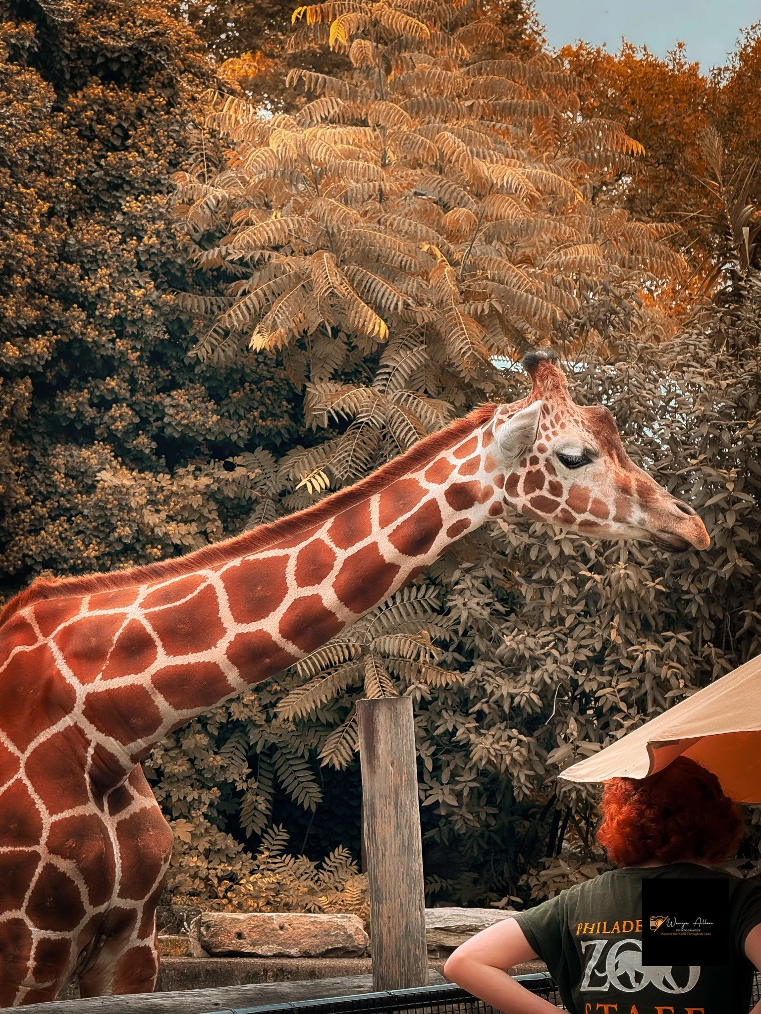 A Wild Day: Adventures at the Philadelphia Zoo