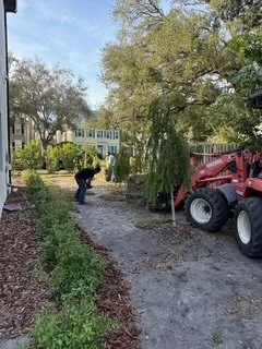 Expert Sod Installation for Tampa Homeowners