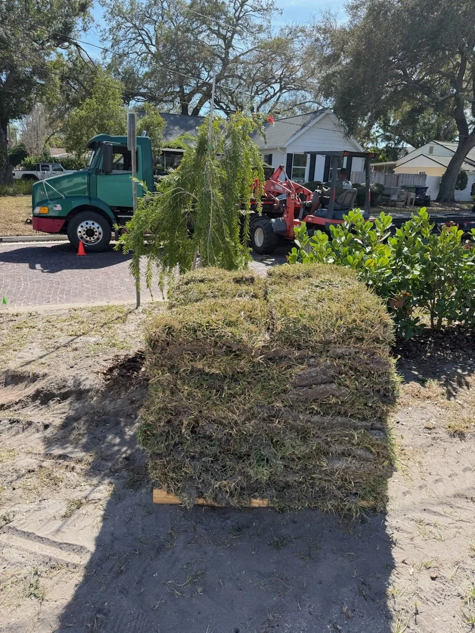 Sod installation Saint Augustine