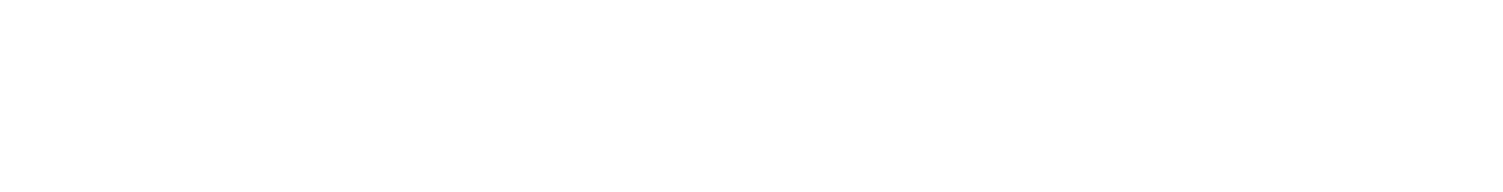 Undue Influence &amp; Mental Capacity Expert Witness | Bennett Blum, MD