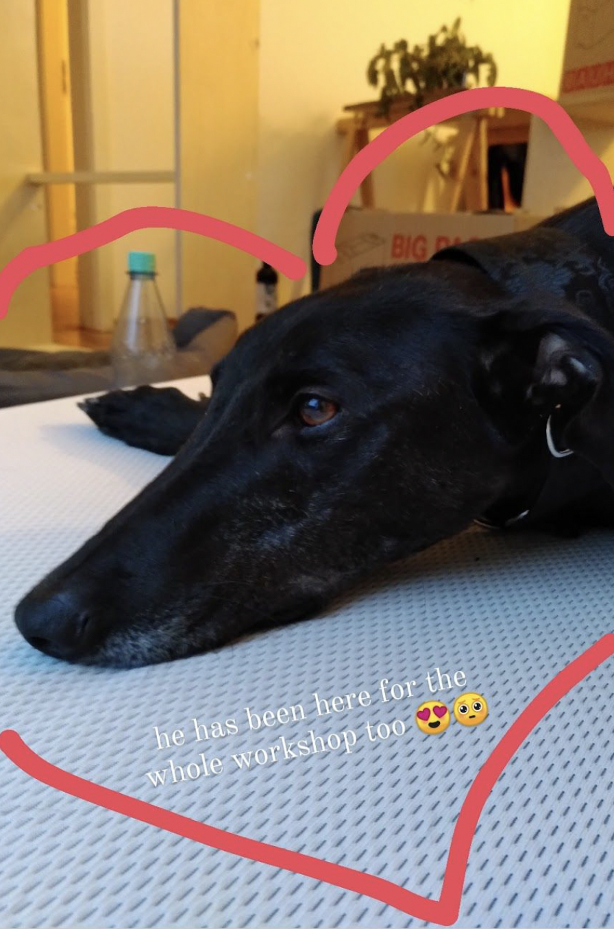 A black dog lying on a white surface with a metal water bottle behind it, heart outline drawn on the photo, and text that reads 'he has been here for the whole workshop too' with heart-eyed and surprised face emojis.
