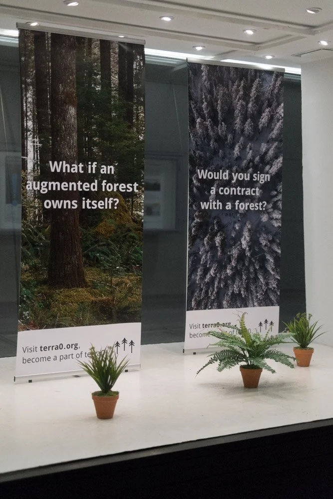Indoor display of a Terra0 artwork with two vertical forest-themed banners, each with a question about forests, and three potted plants in front.