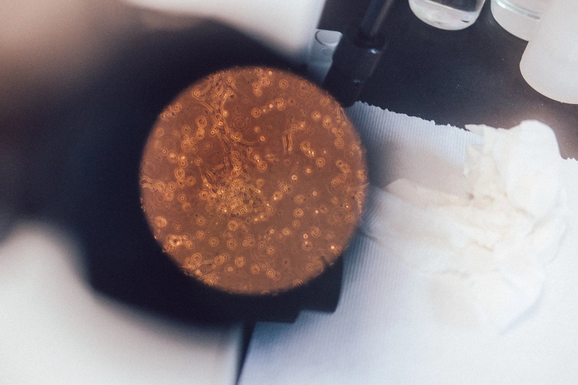 A close-up view of a DNA sequence by scientist Yewande Pearse.