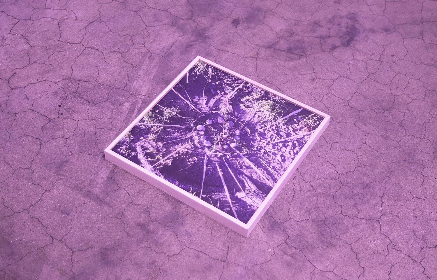 A framed picture of an earth offering by Susanne Probst, bathed in purple and pink lighting.
