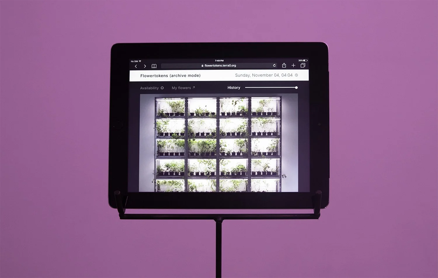 A tablet on a stand displaying a webpage titled 'Flowertokens' by Terra0 with an image of a multi-tiered plant growing system inside a bright room, set against a pink background.
