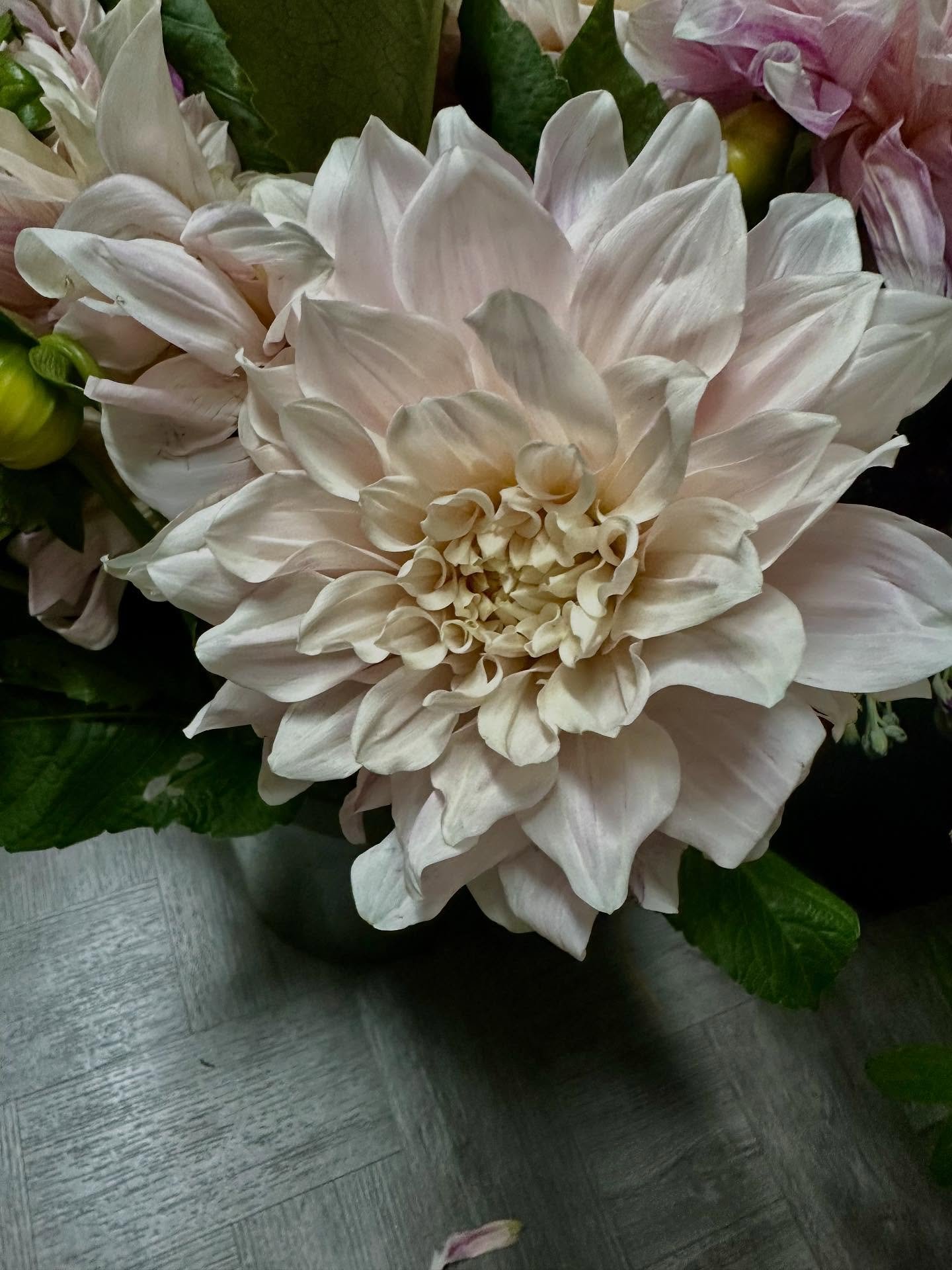 Unpacking some of our favorites this morning