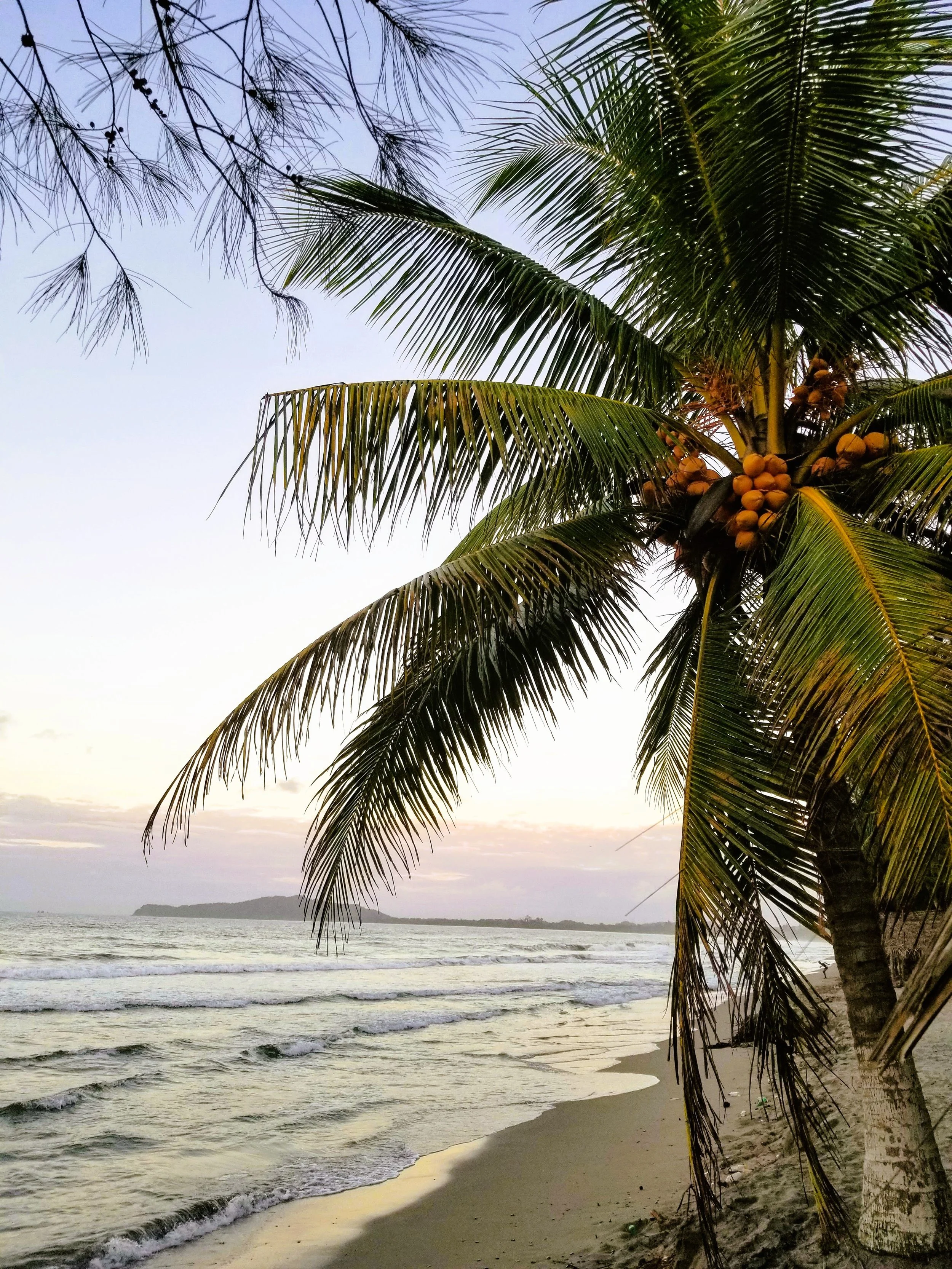 Central, South America, & Mexico Testimonials