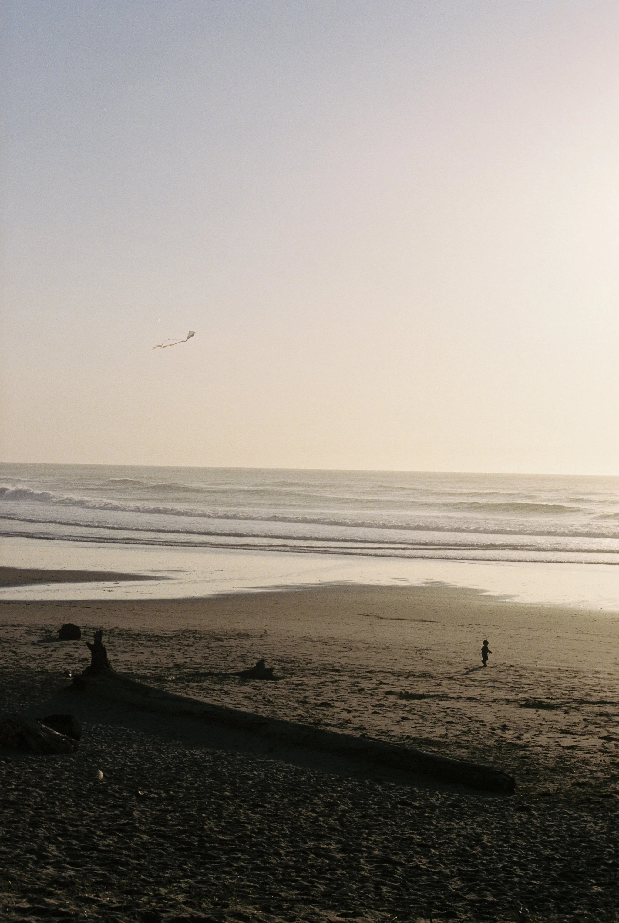 IMG_9561.jpeg