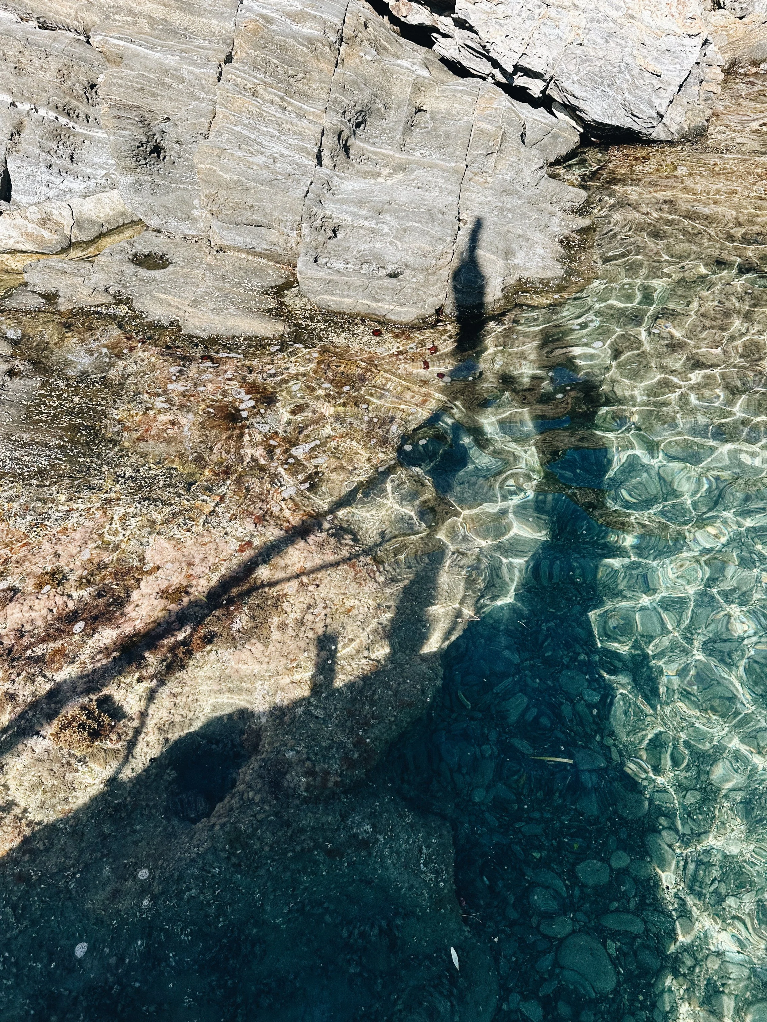Aguas cristalinas en una cala del Cap de Creus vistas desde un barco