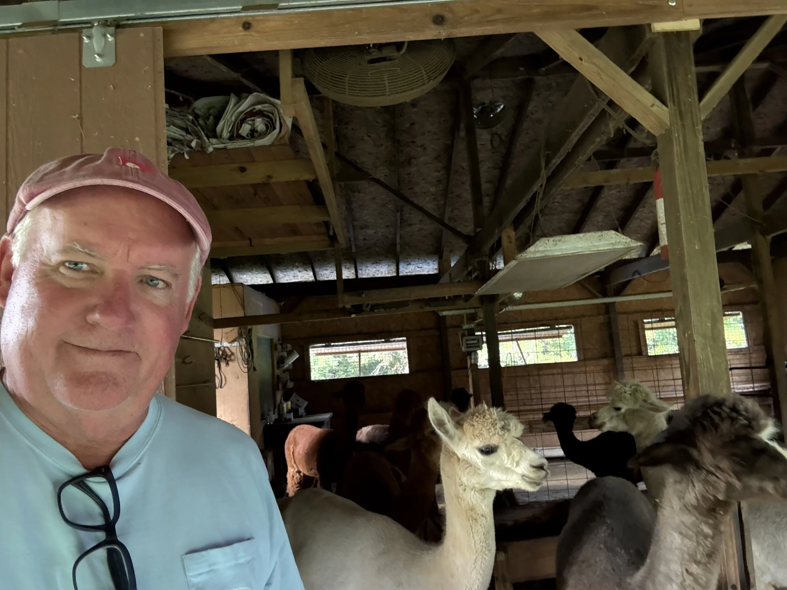 Day 4-Alpaca Country Nights: Farmhand Work &amp; Spaghetti Warmth on the First Day of Fall