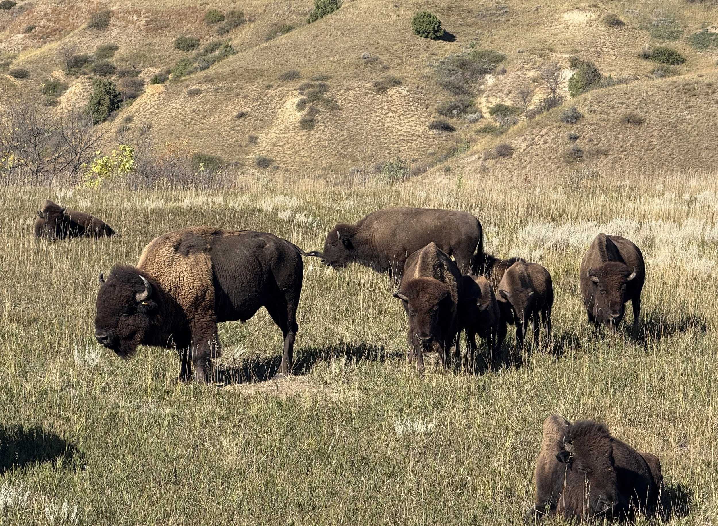 Day 14 - Six Degrees of Chatham — North Dakota Edition