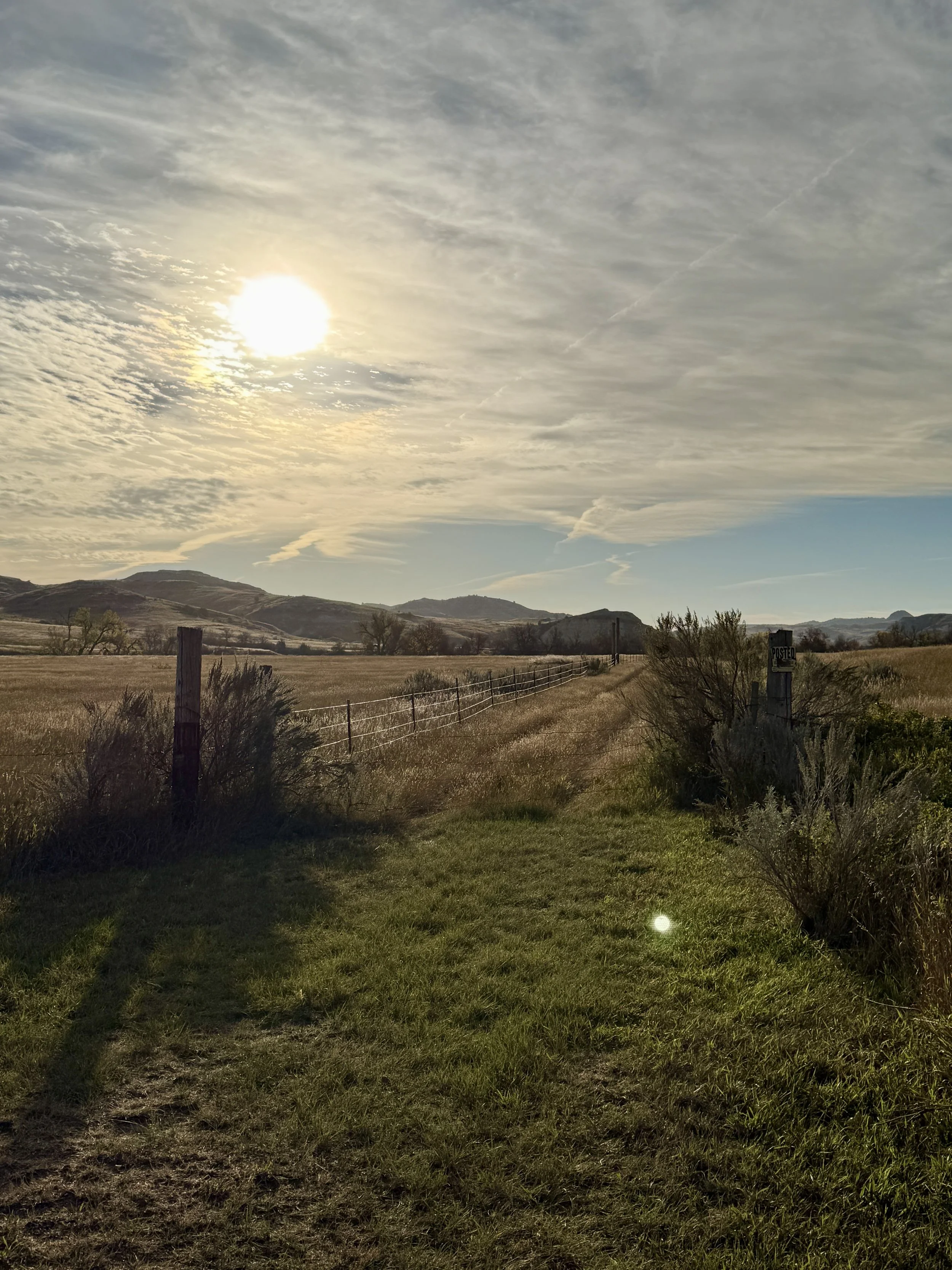 Day 15-From Teddy Roosevelt to Tequila: Jess’s Birthday on the Road