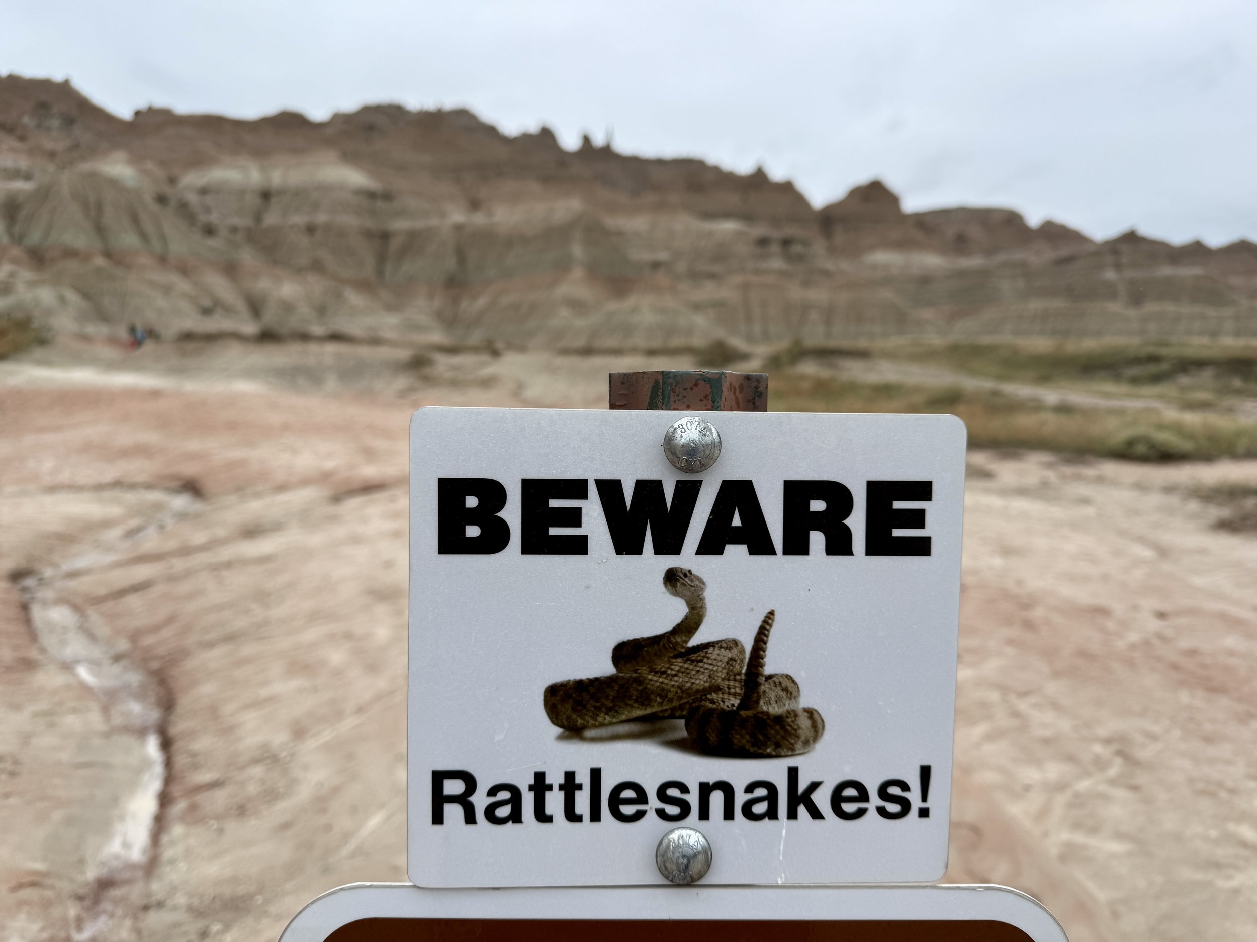 Day 16-The Royals Go Bad (lands) 👑