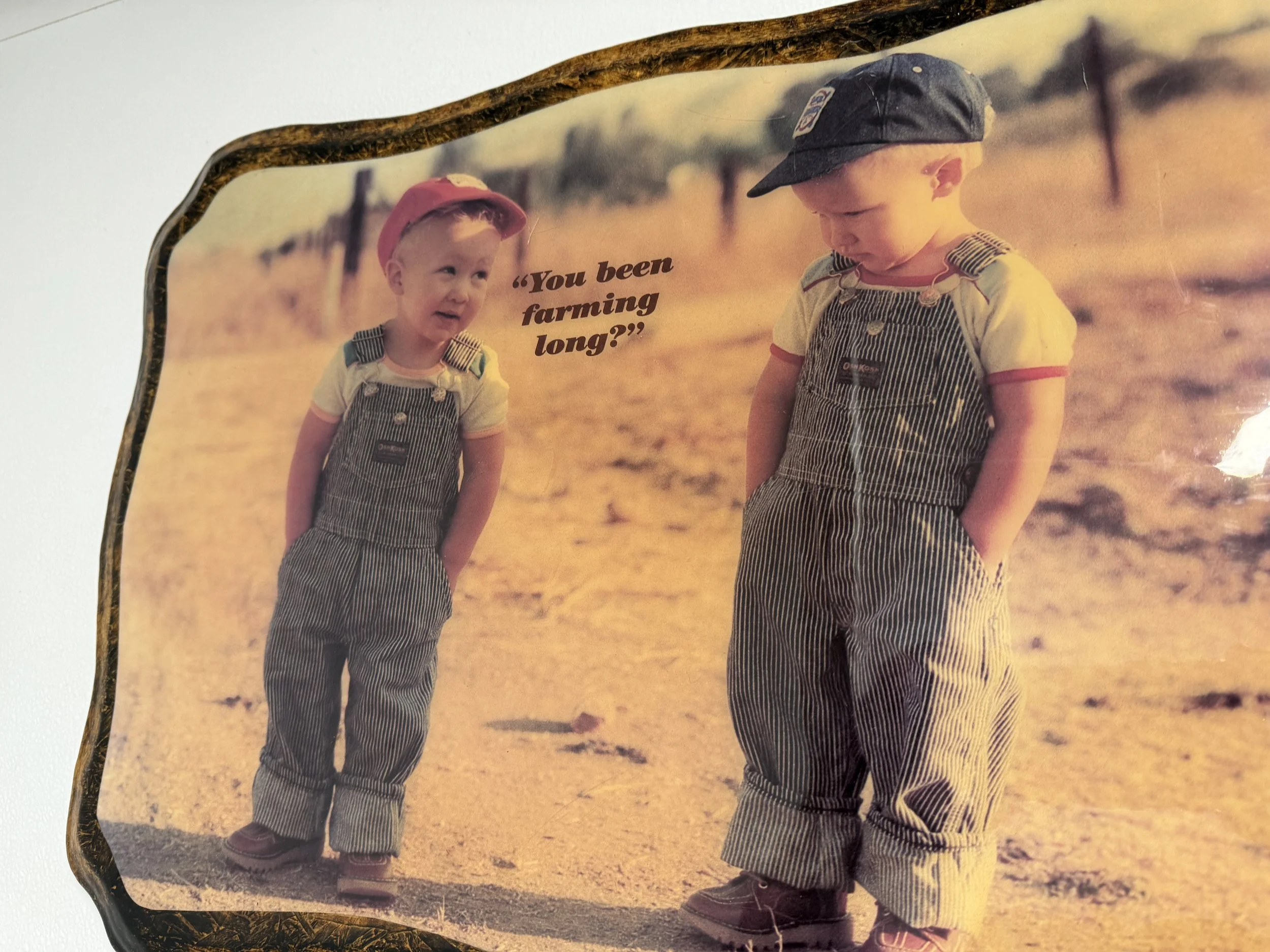 Day 19-Saco River Beer: For Appreciating Giant Rocks and a Nighttime Cliff Dweller