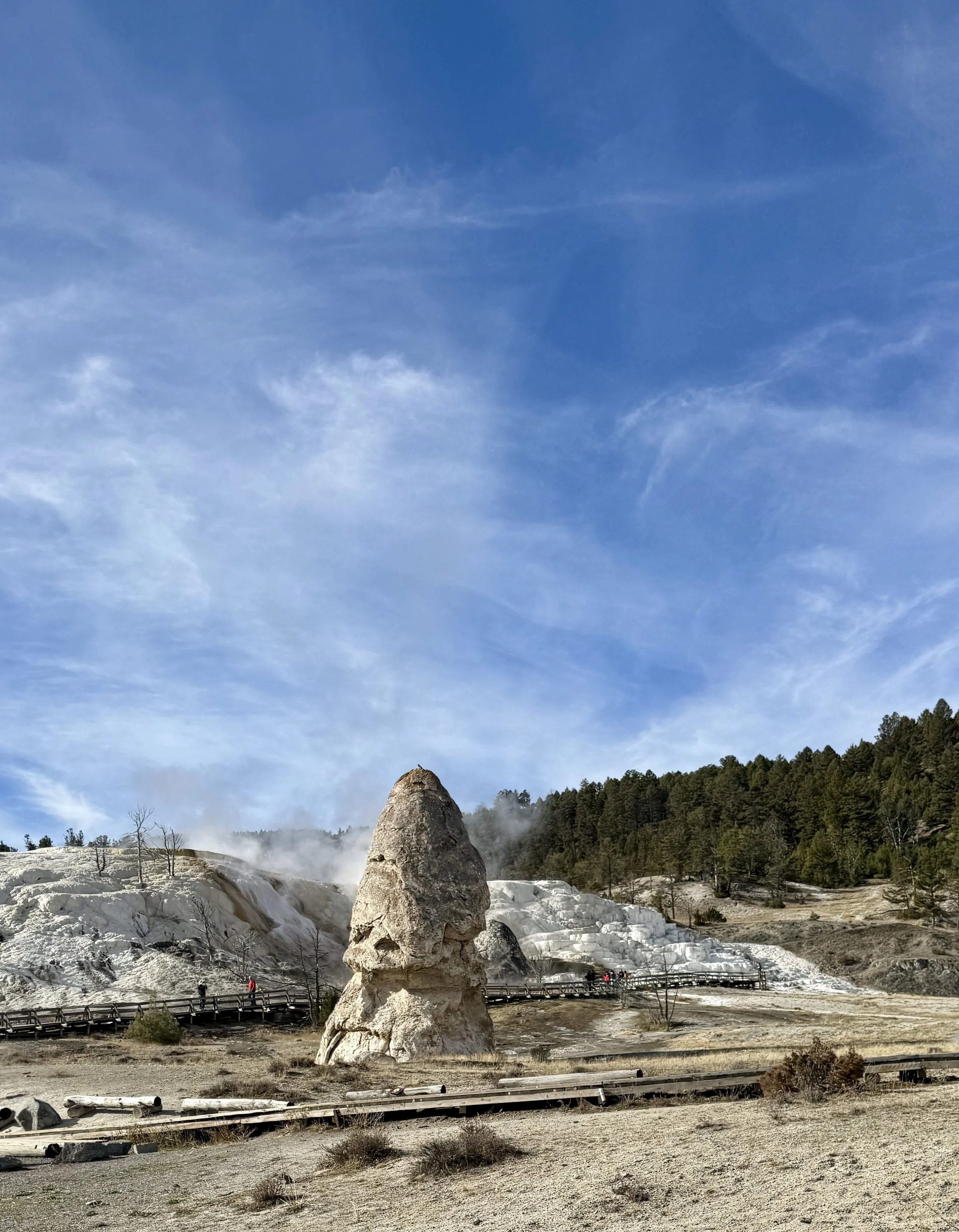 Day 25 - Just Out Here Avoiding Eruptions