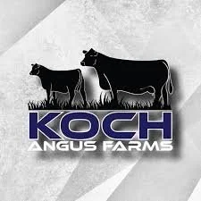 Koch Angus Farms