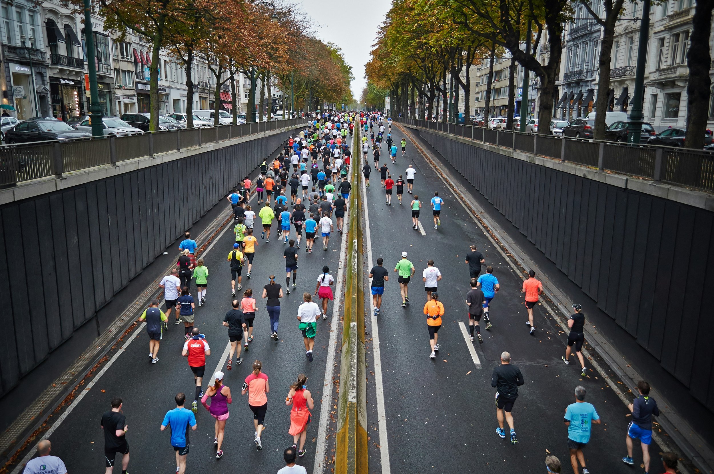 A large group of people participating in a marathon running on a city street, with trees and buildings lining the sides.