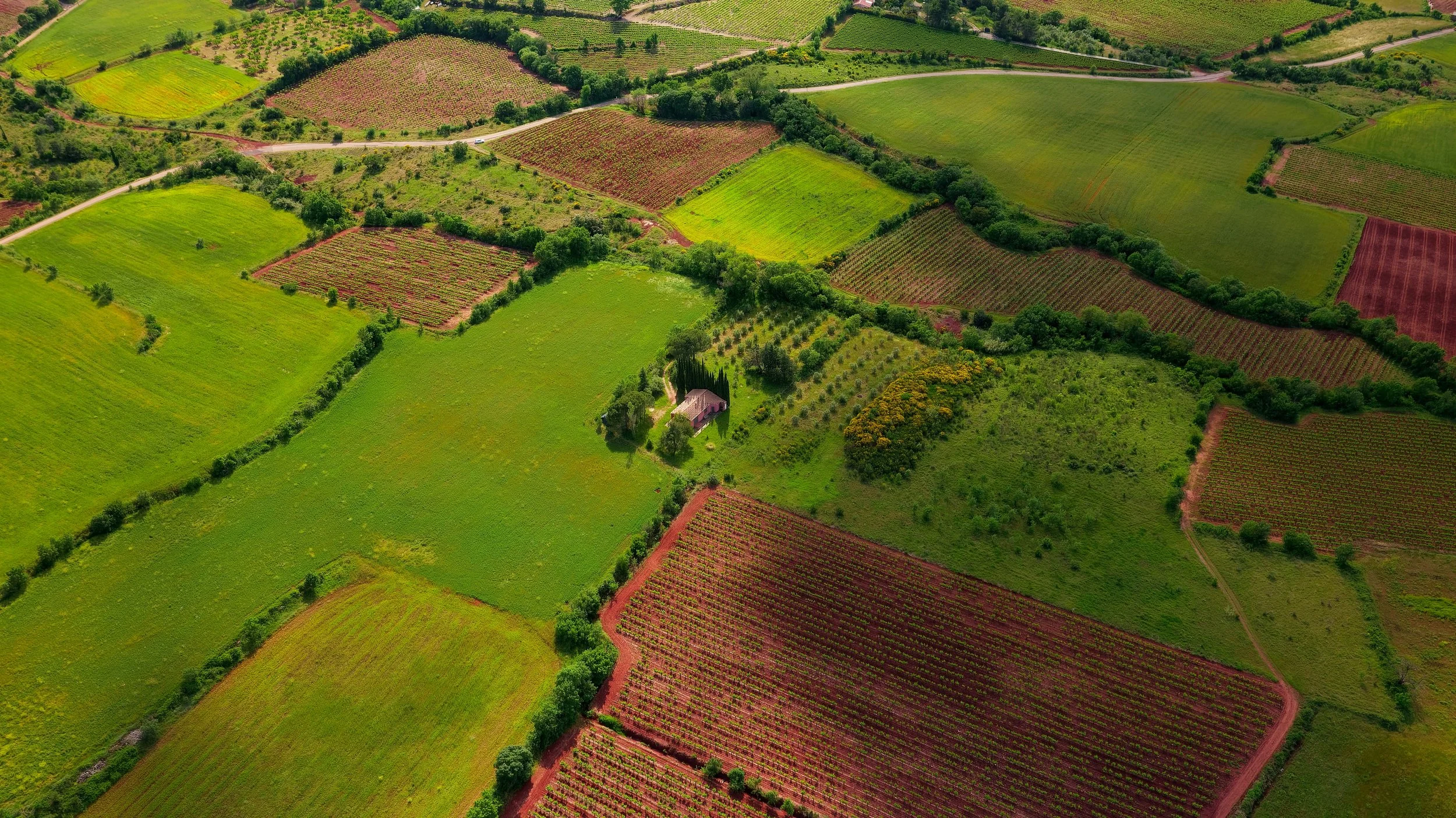 Aerial view of colorful fields and vineyards with a small house surrounded by trees in the countryside.